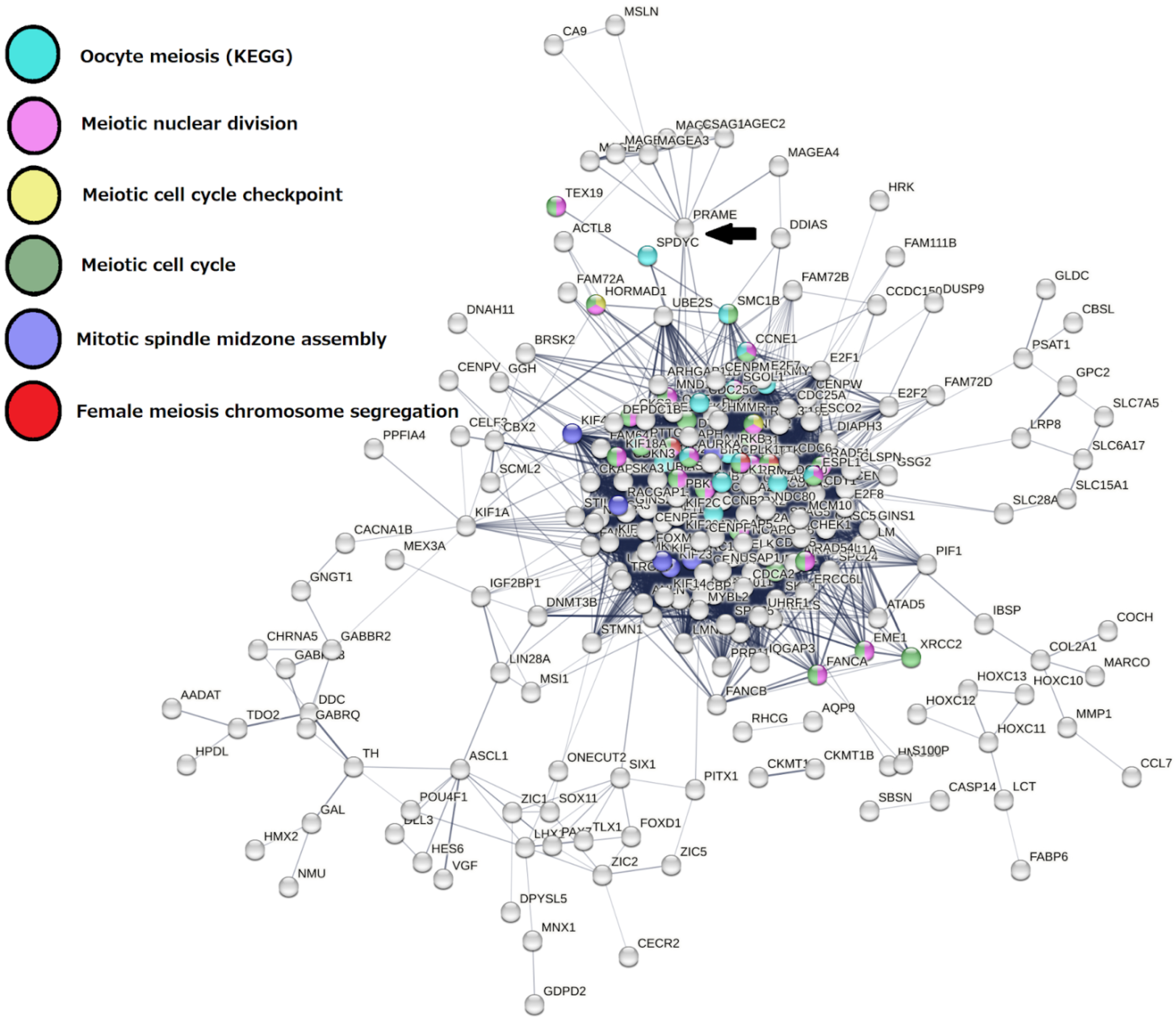 Ijms 23 14930 g005 Ijms 23 14930 g005