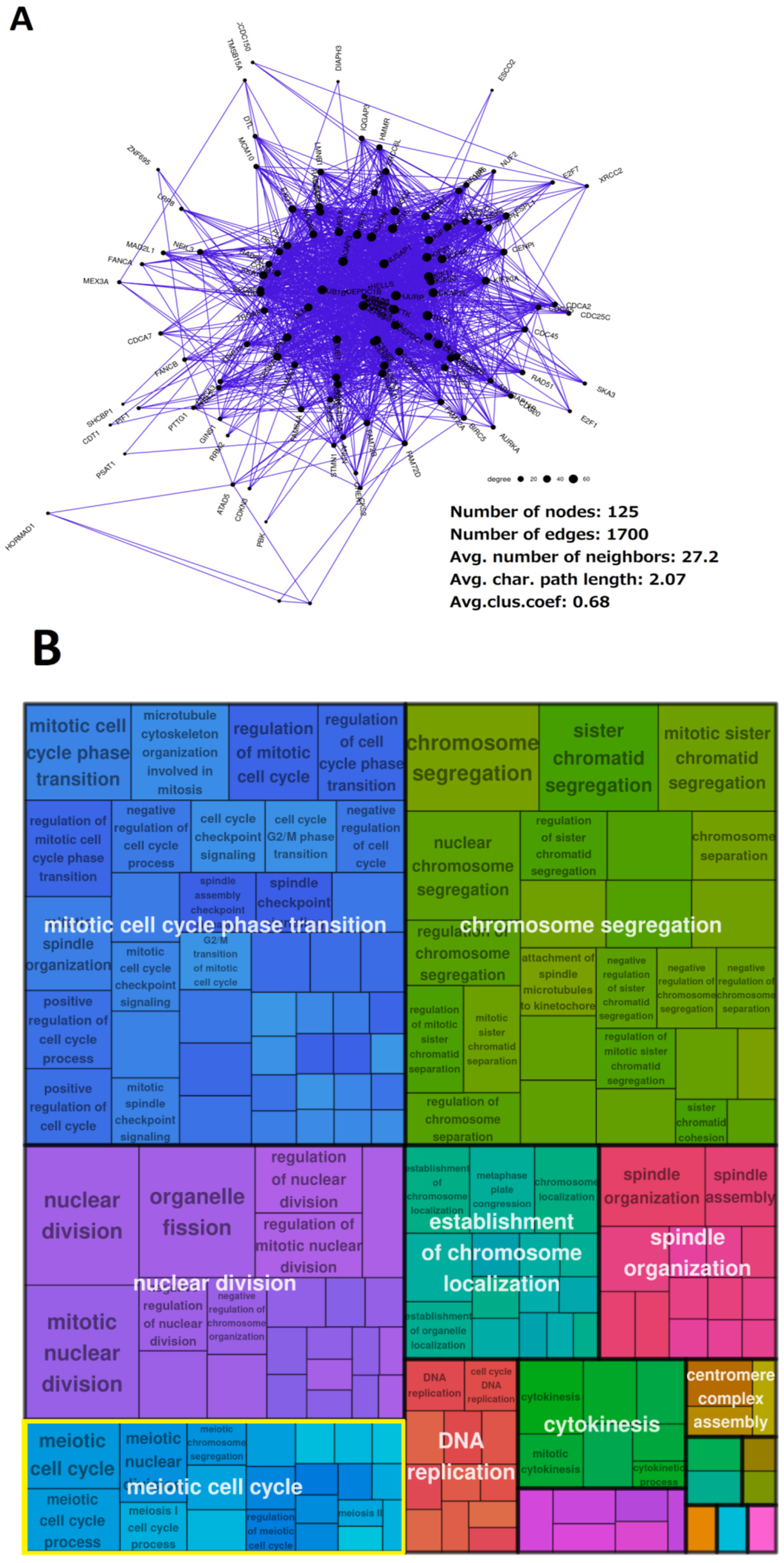 Ijms 23 14930 g006 Ijms 23 14930 g006