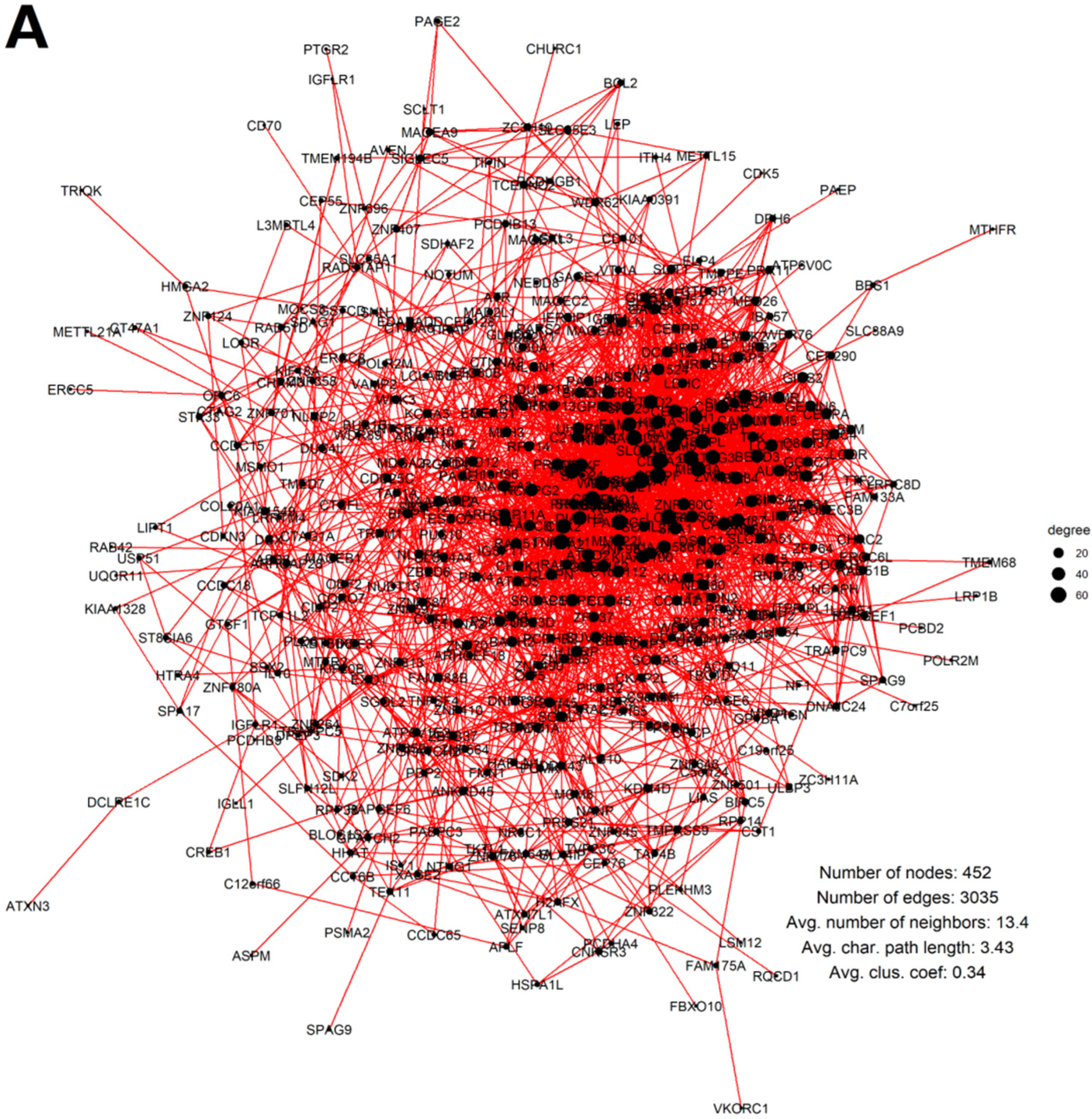 Ijms 23 14930 g007a Ijms 23 14930 g007a