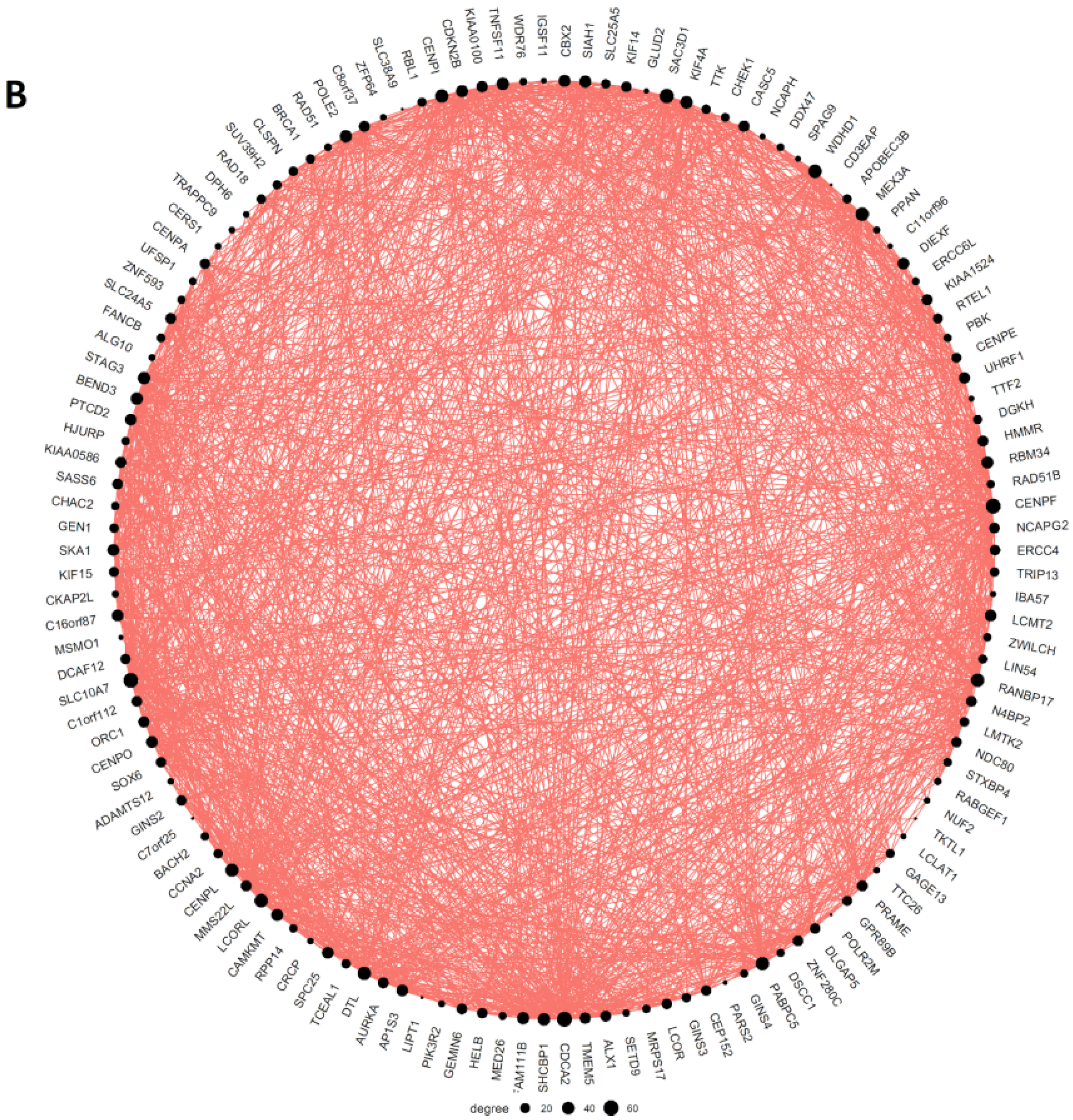 Ijms 23 14930 g007b Ijms 23 14930 g007b