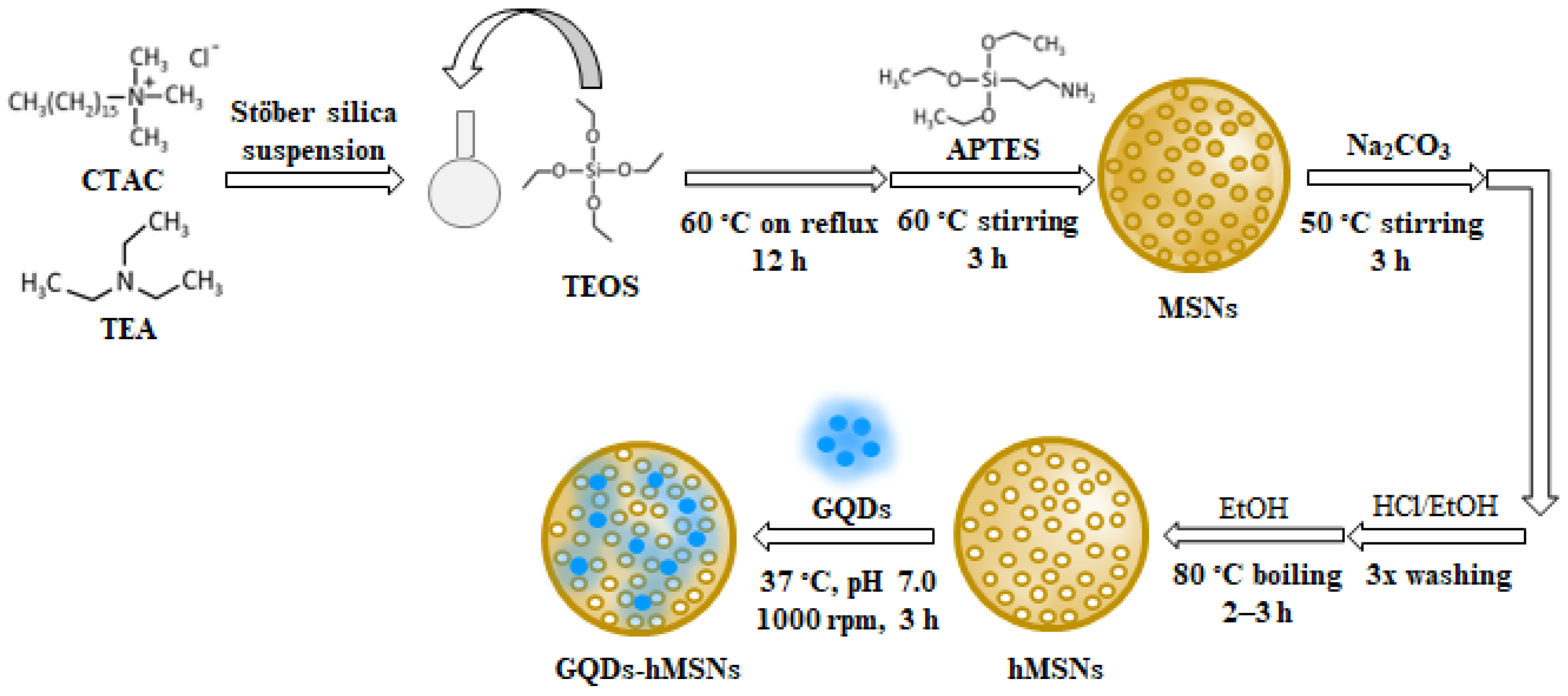 Ijms 23 14931 sch001