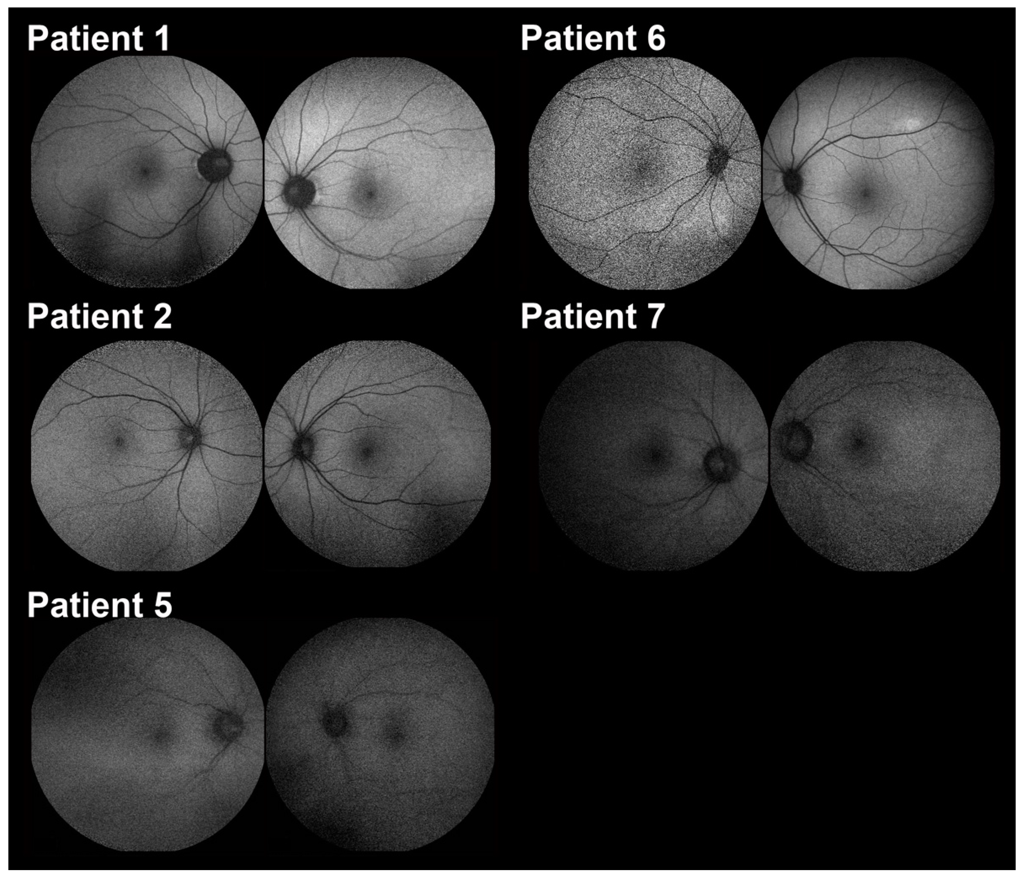 Ijms 23 14965 g002 Ijms 23 14965 g002