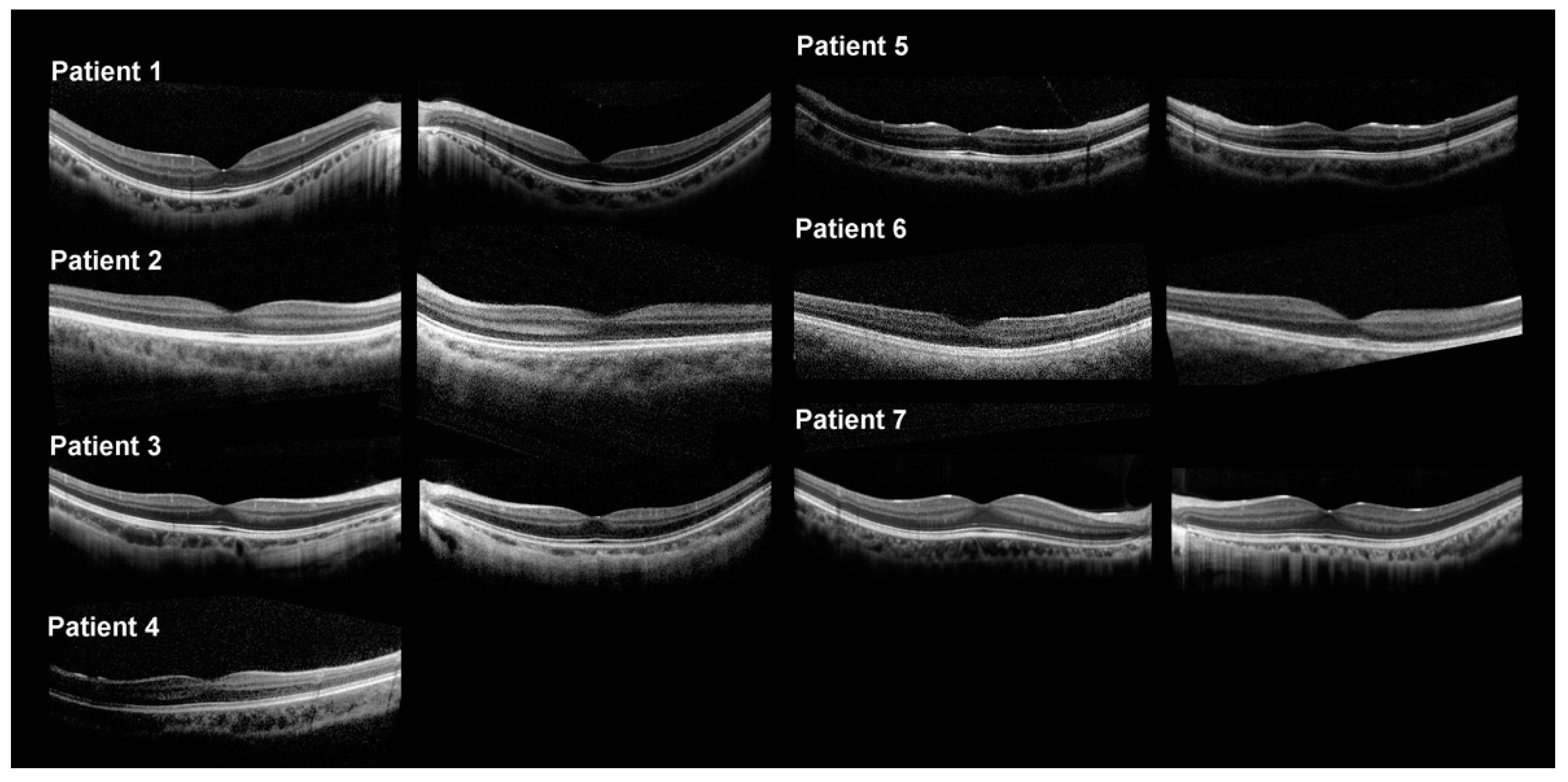 Ijms 23 14965 g003 Ijms 23 14965 g003