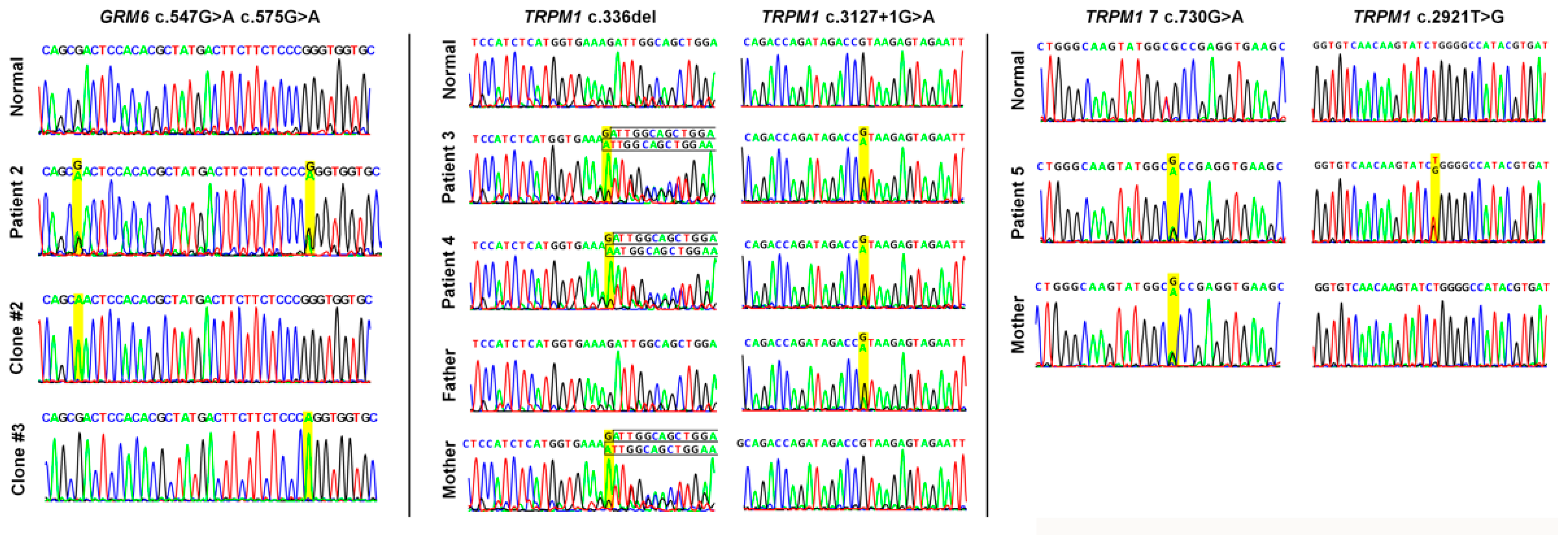 Ijms 23 14965 g005 Ijms 23 14965 g005