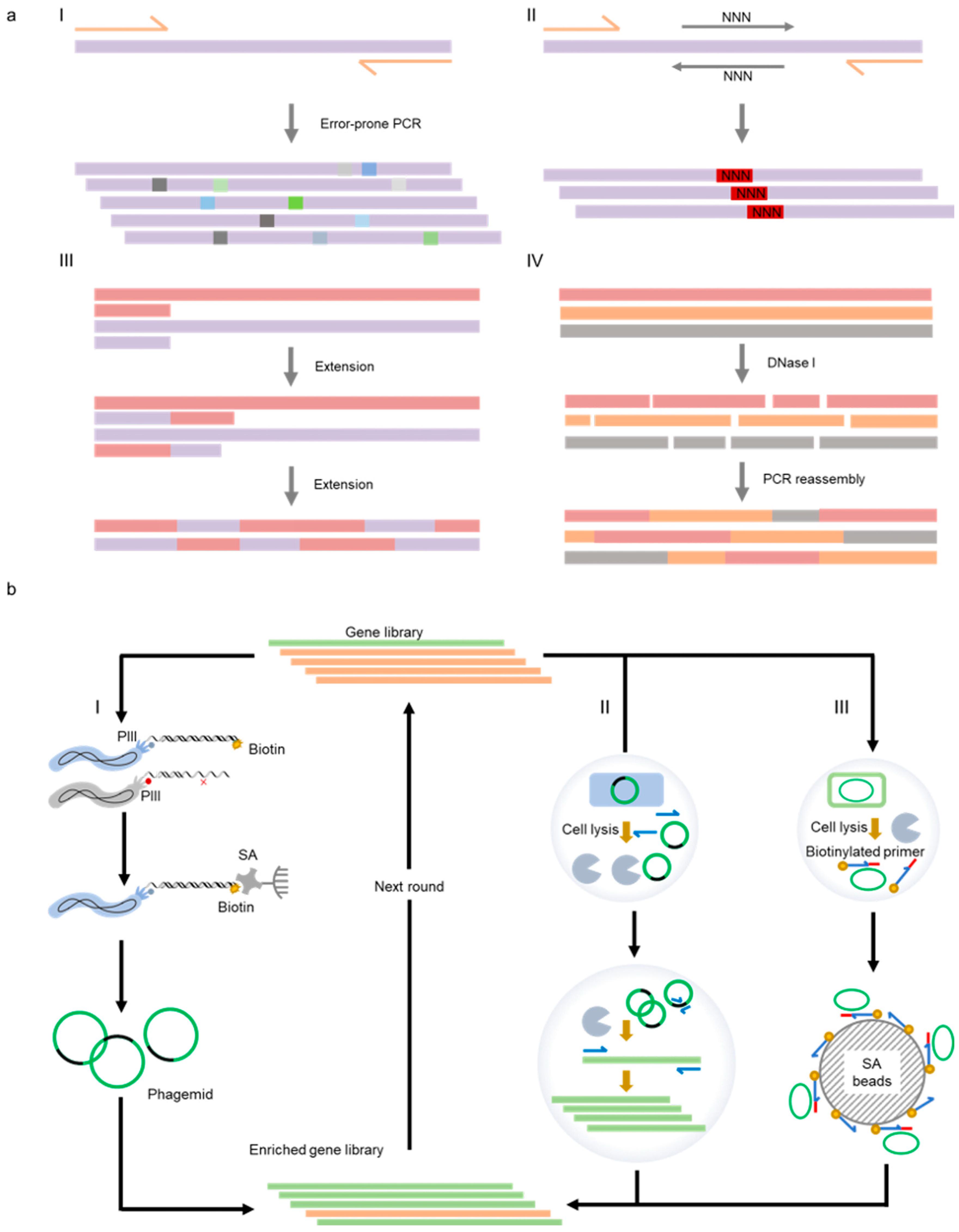 Thermophilic Nucleic Acid Polymerases and Their Application