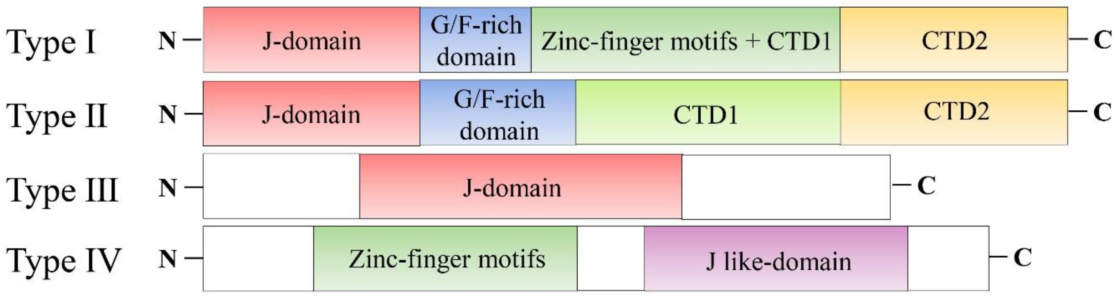 Ijms 23 14970 g001 Ijms 23 14970 g001