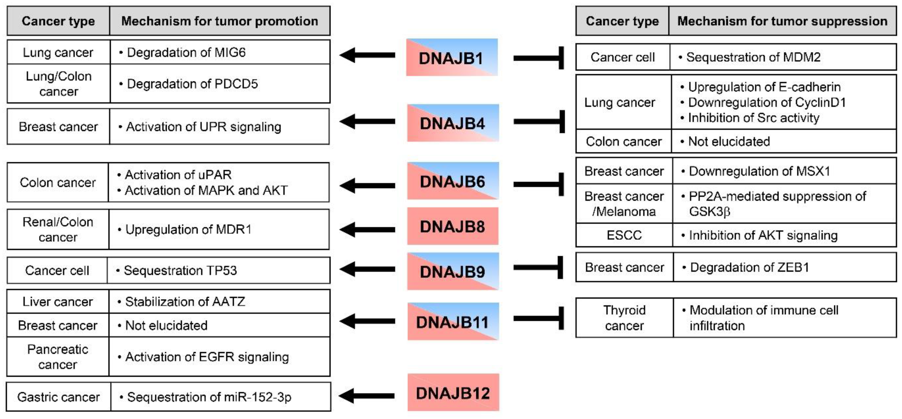 Ijms 23 14970 g002 Ijms 23 14970 g002