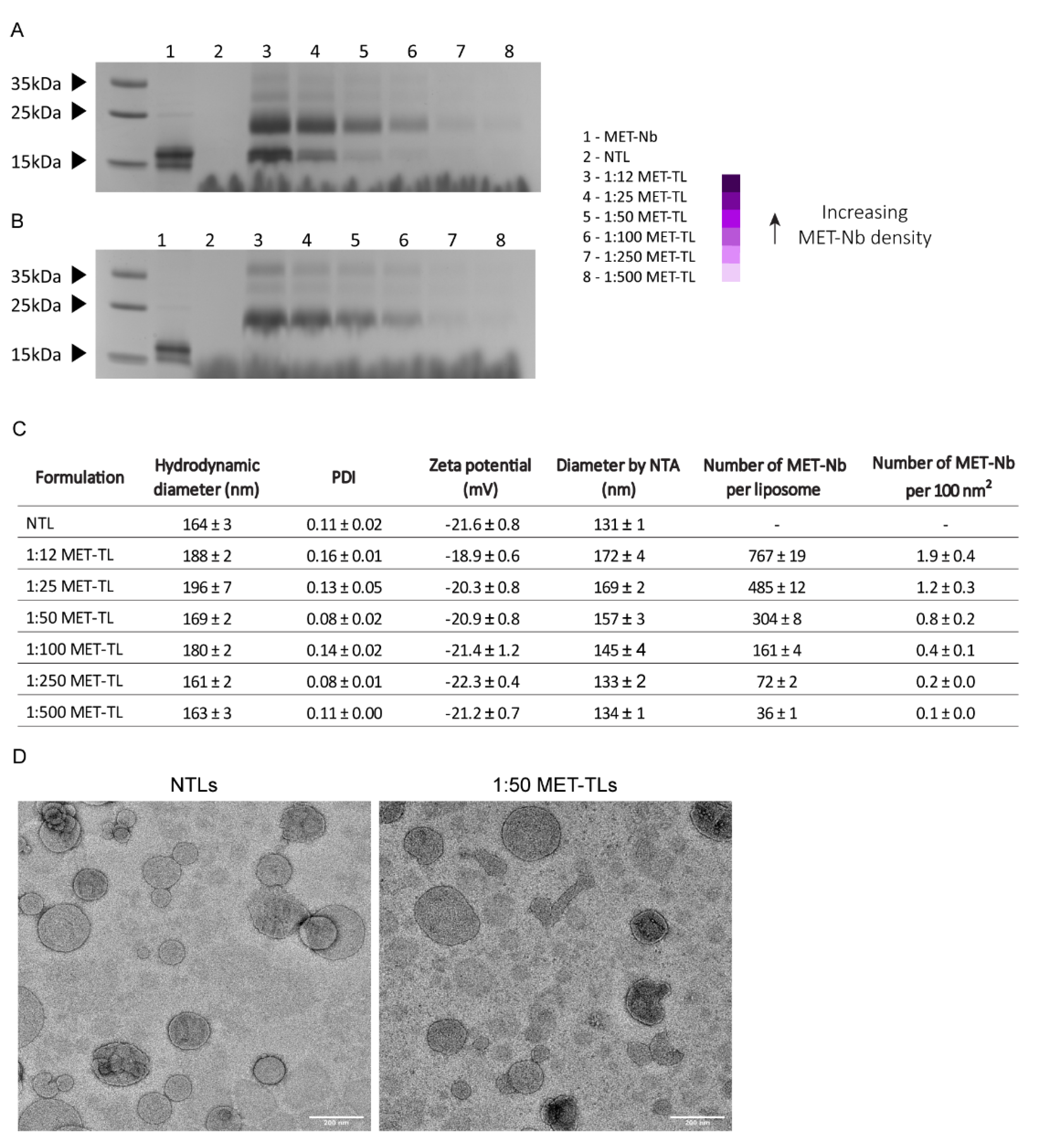 Ijms 23 14974 g002 Ijms 23 14974 g002