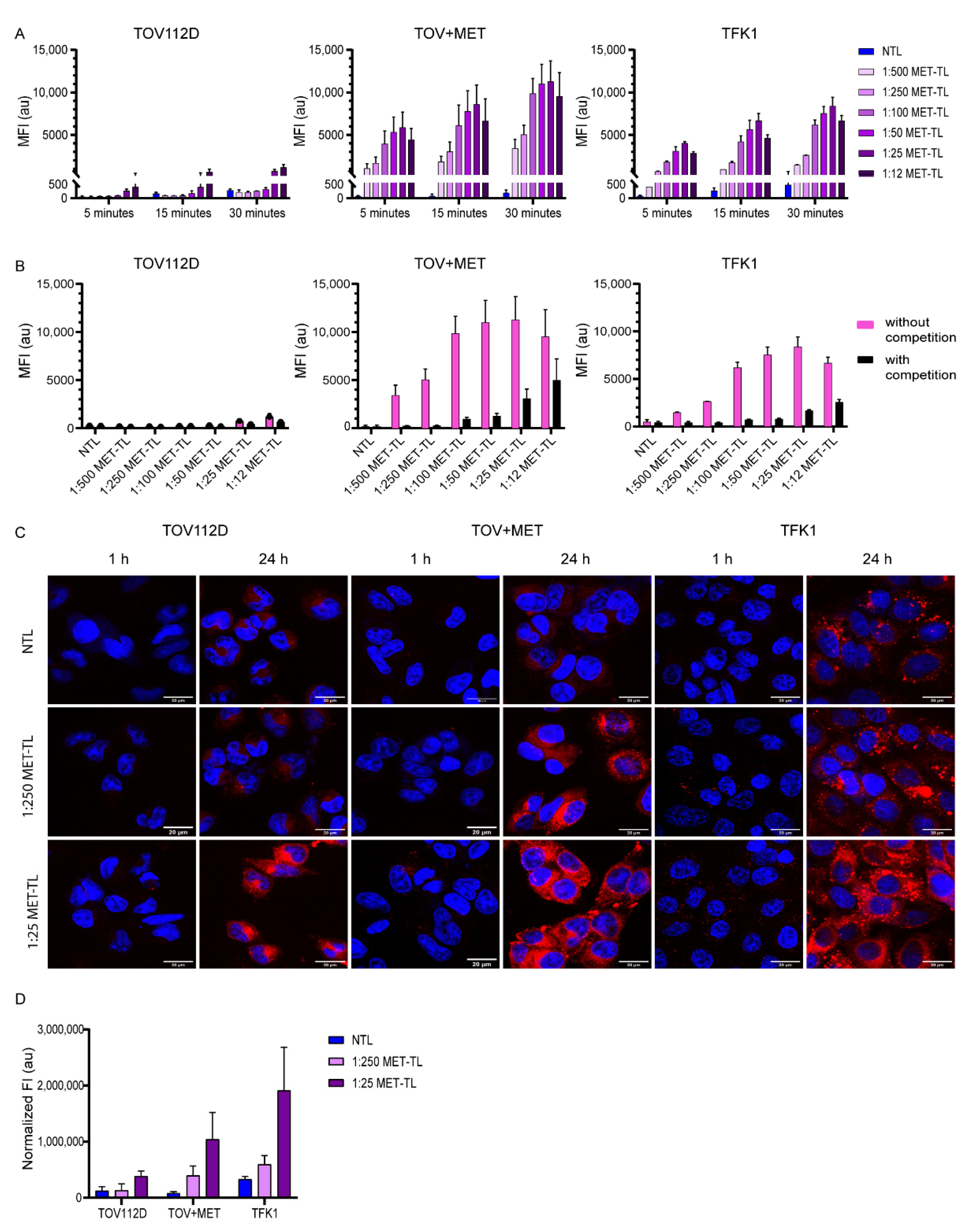 Ijms 23 14974 g004 Ijms 23 14974 g004