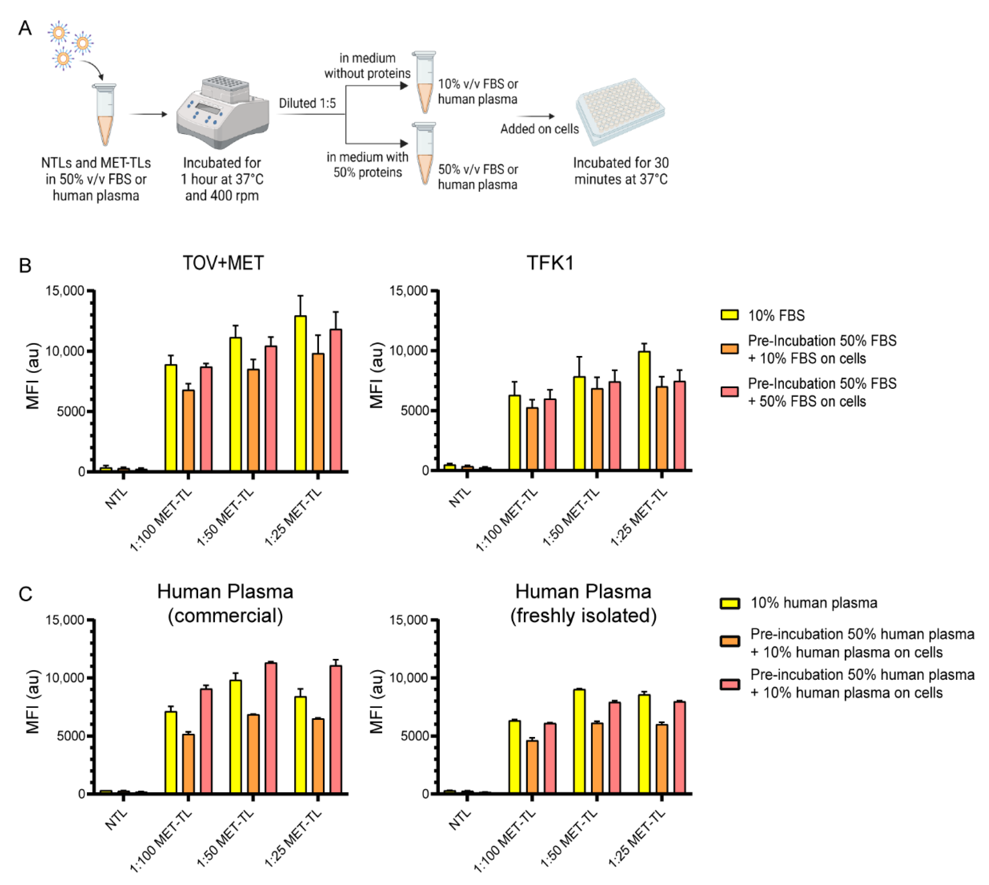 Ijms 23 14974 g005 Ijms 23 14974 g005