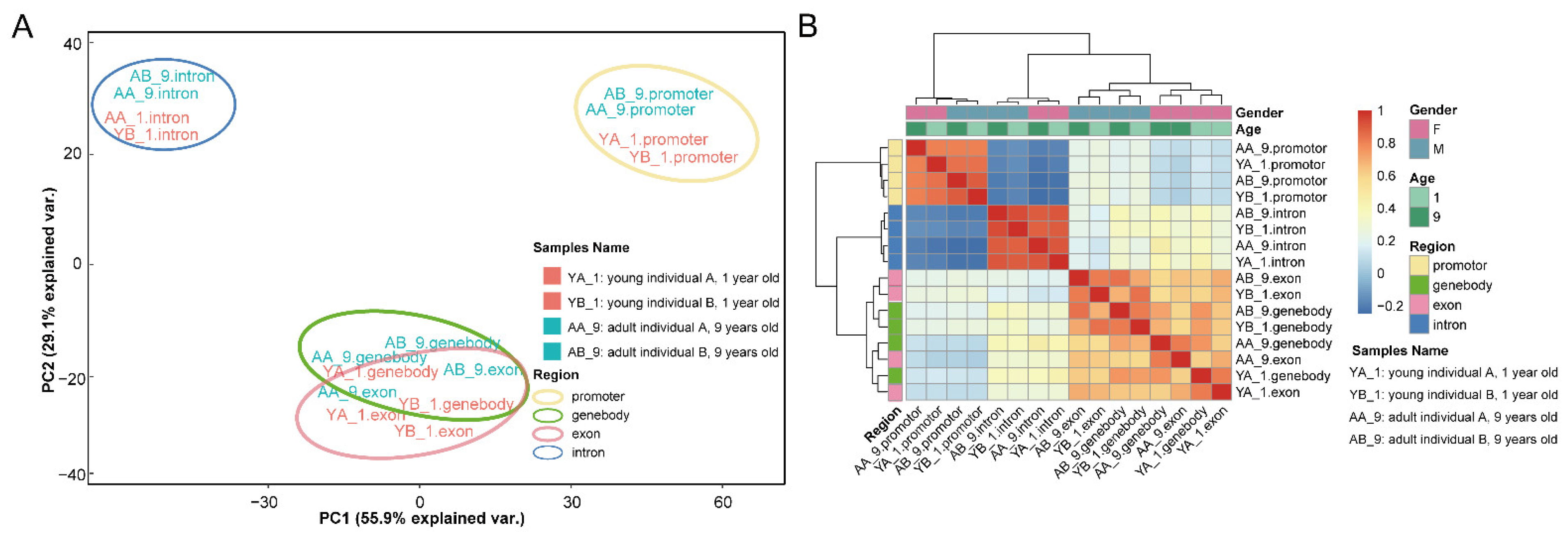 IJMS Free FullText GenomeWide DNA Methylation Profile Indicates