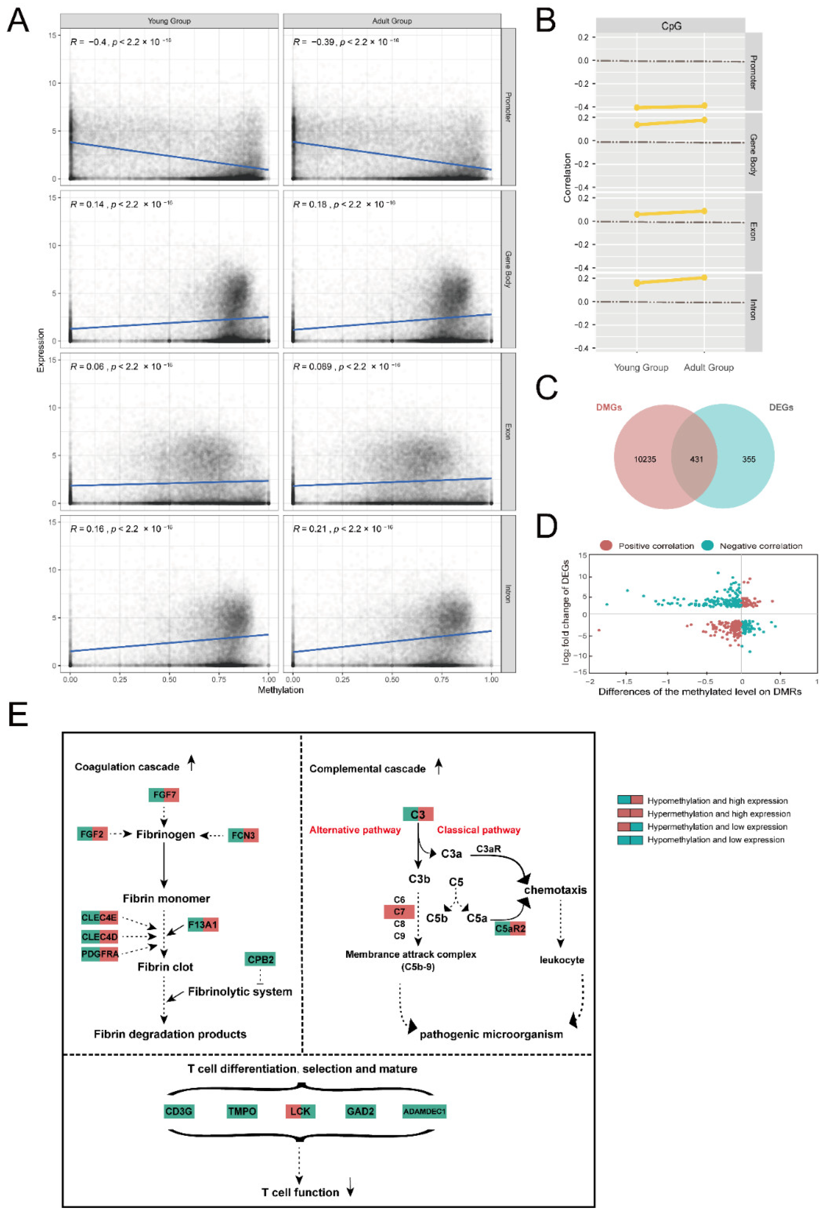 Ijms 23 14984 g004 Ijms 23 14984 g004