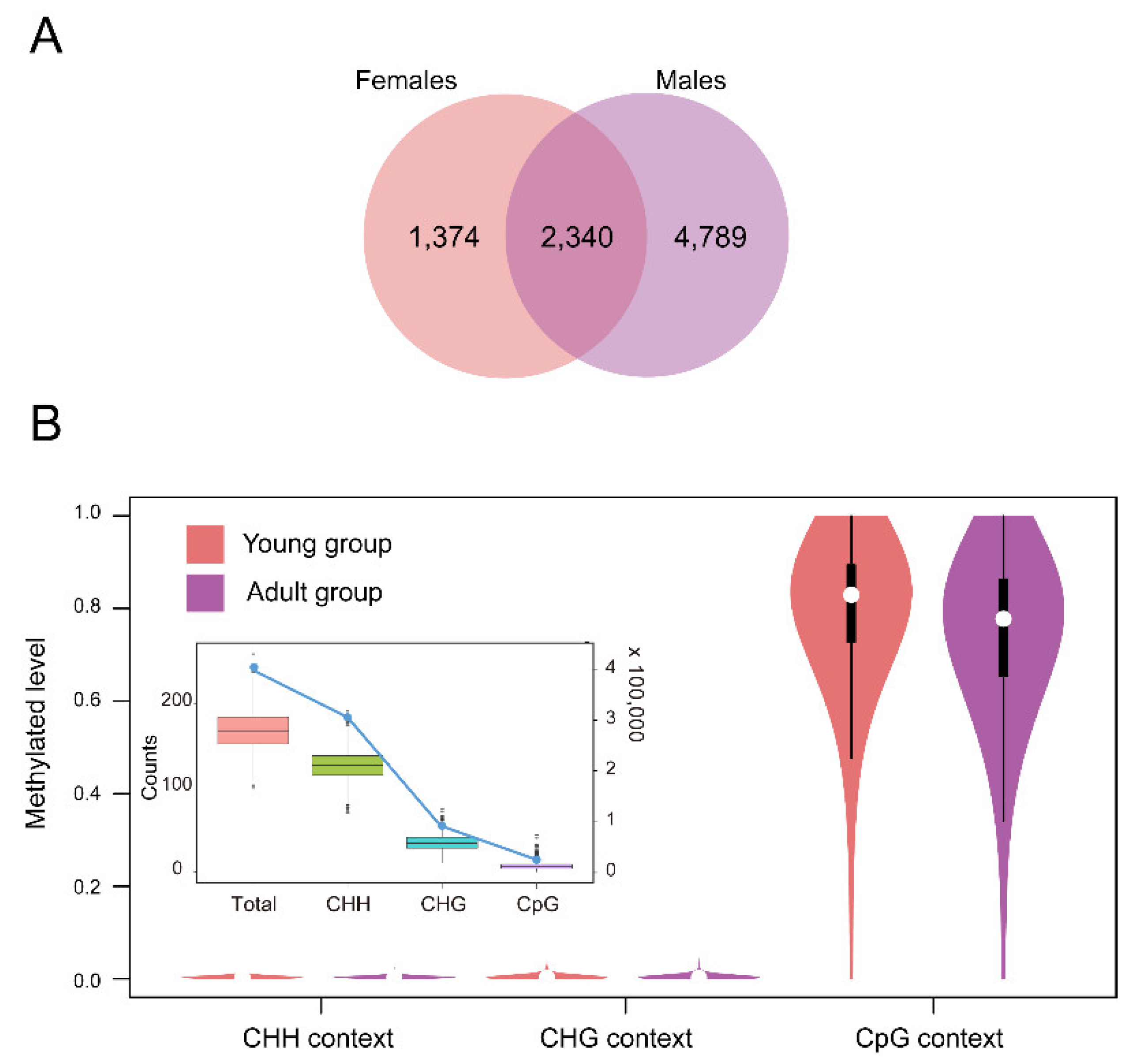 Ijms 23 14984 g005 Ijms 23 14984 g005