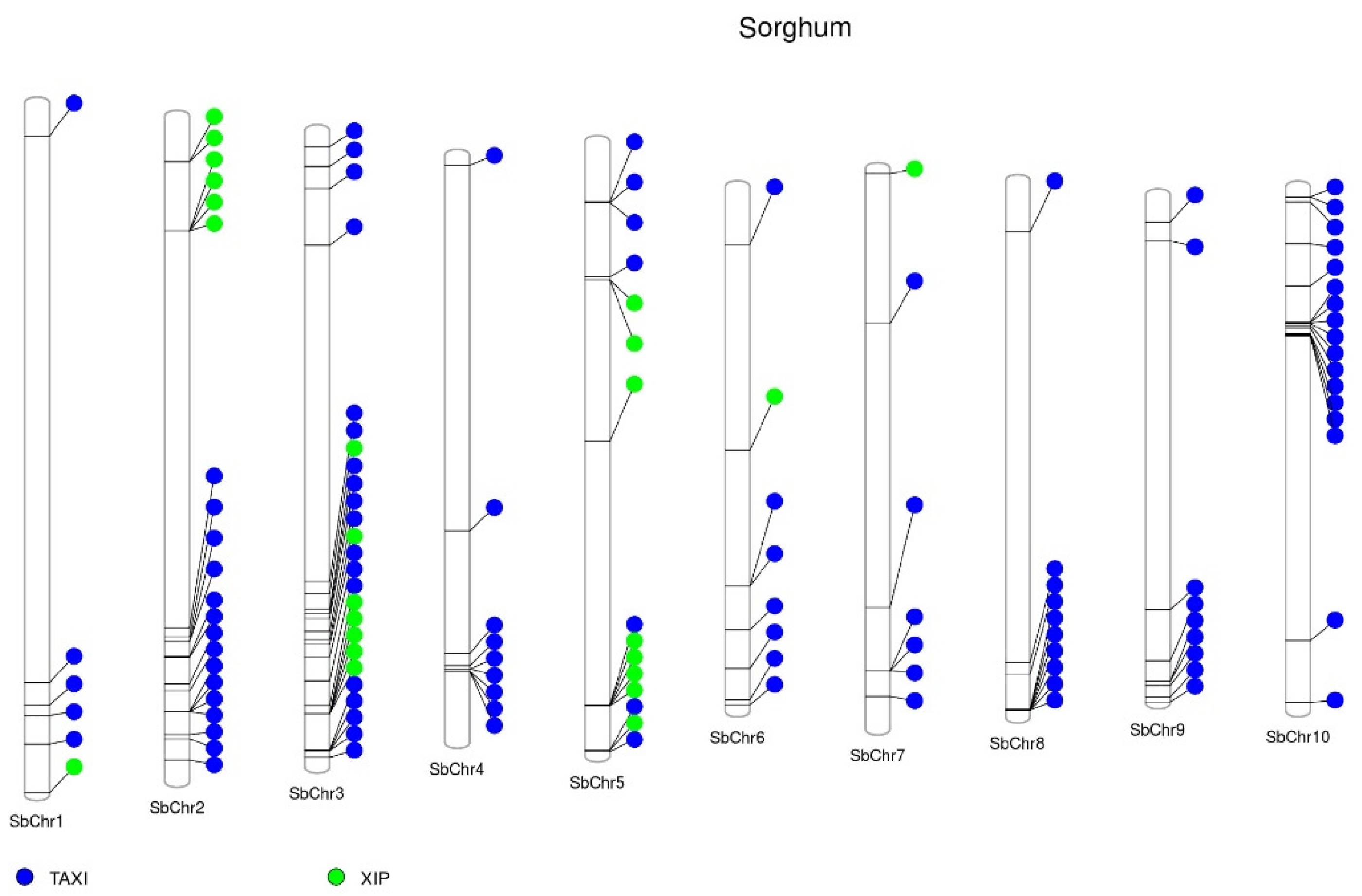 Ijms 23 14994 g001 Ijms 23 14994 g001