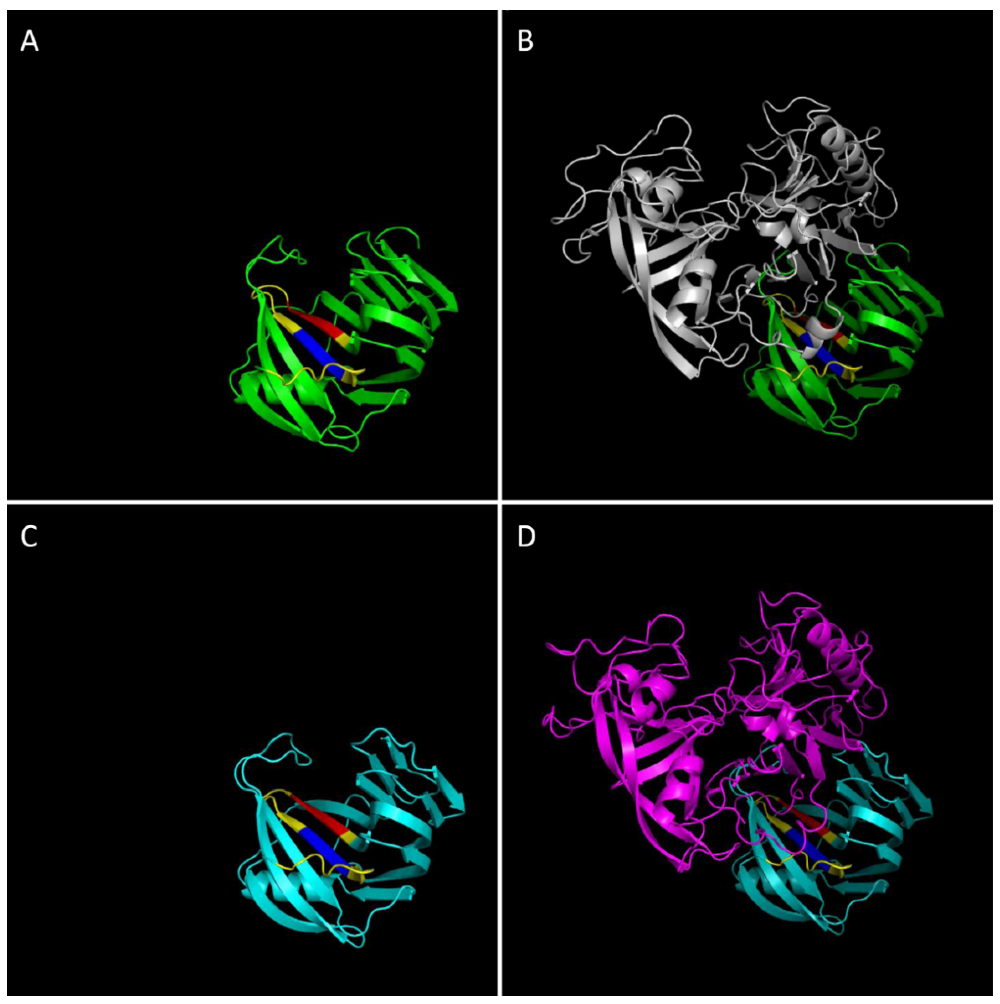 Ijms 23 14994 g004 Ijms 23 14994 g004