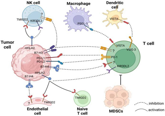 Interferon lambda restricts herpes simplex virus skin