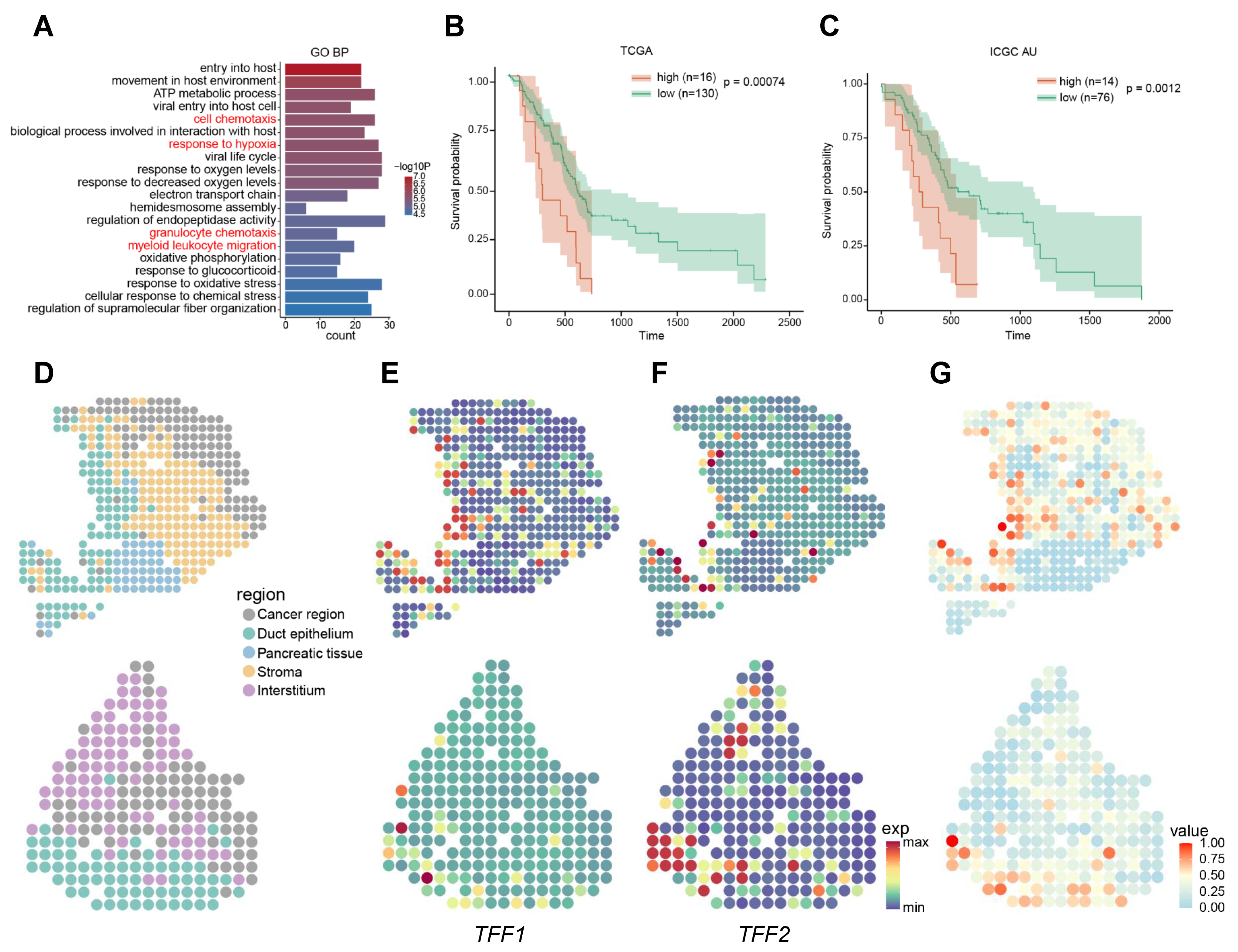 Ijms 23 15020 g004 Ijms 23 15020 g004