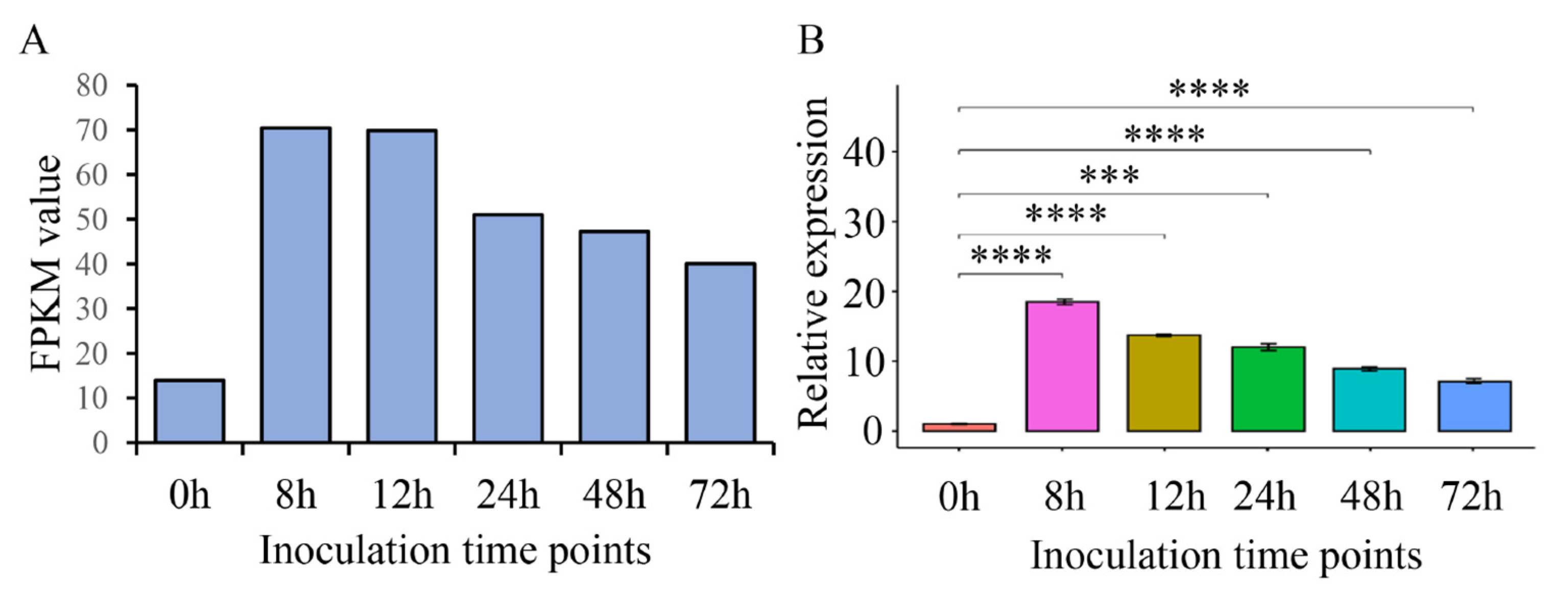Ijms 23 15042 g004 550