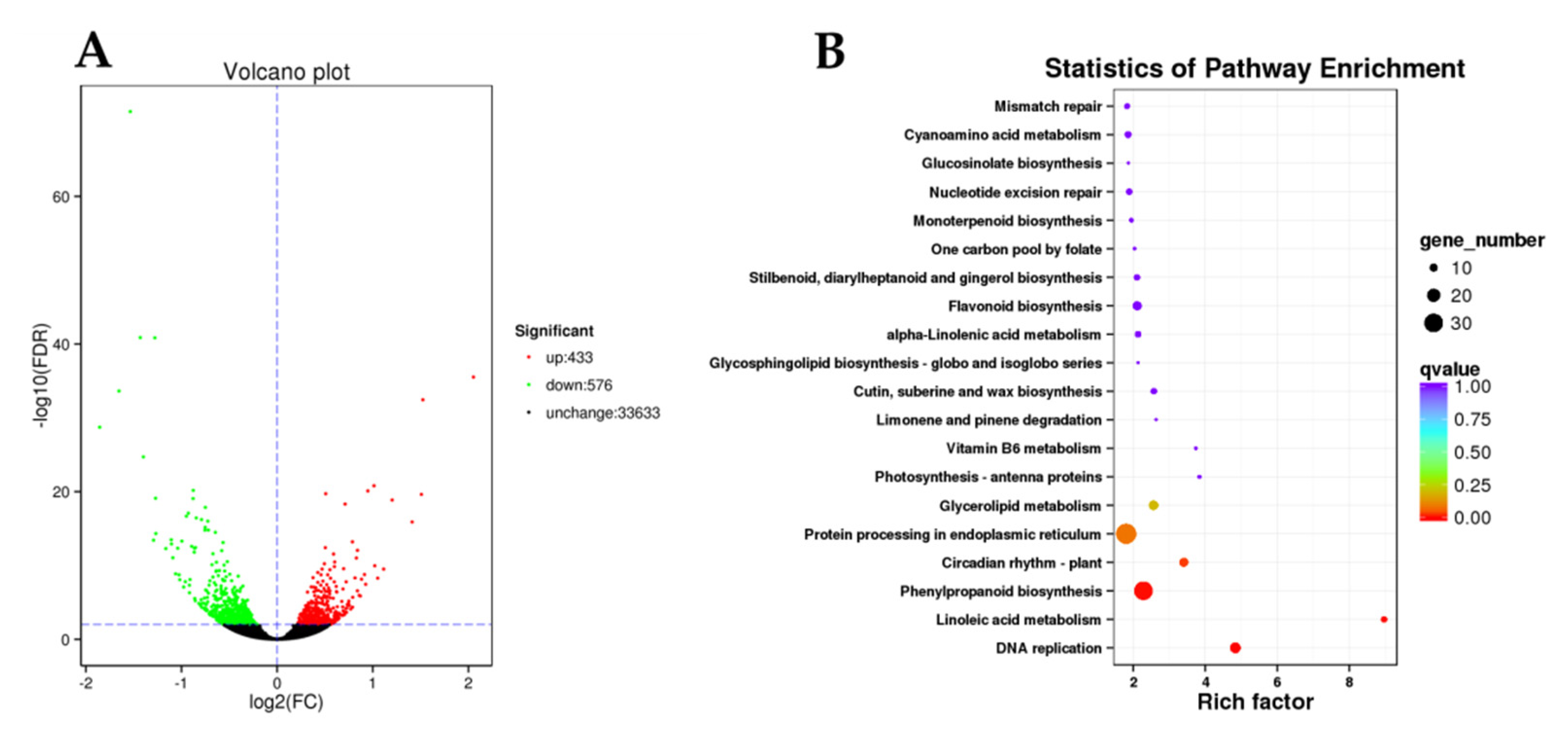 Ijms 23 15044 g004 Ijms 23 15044 g004