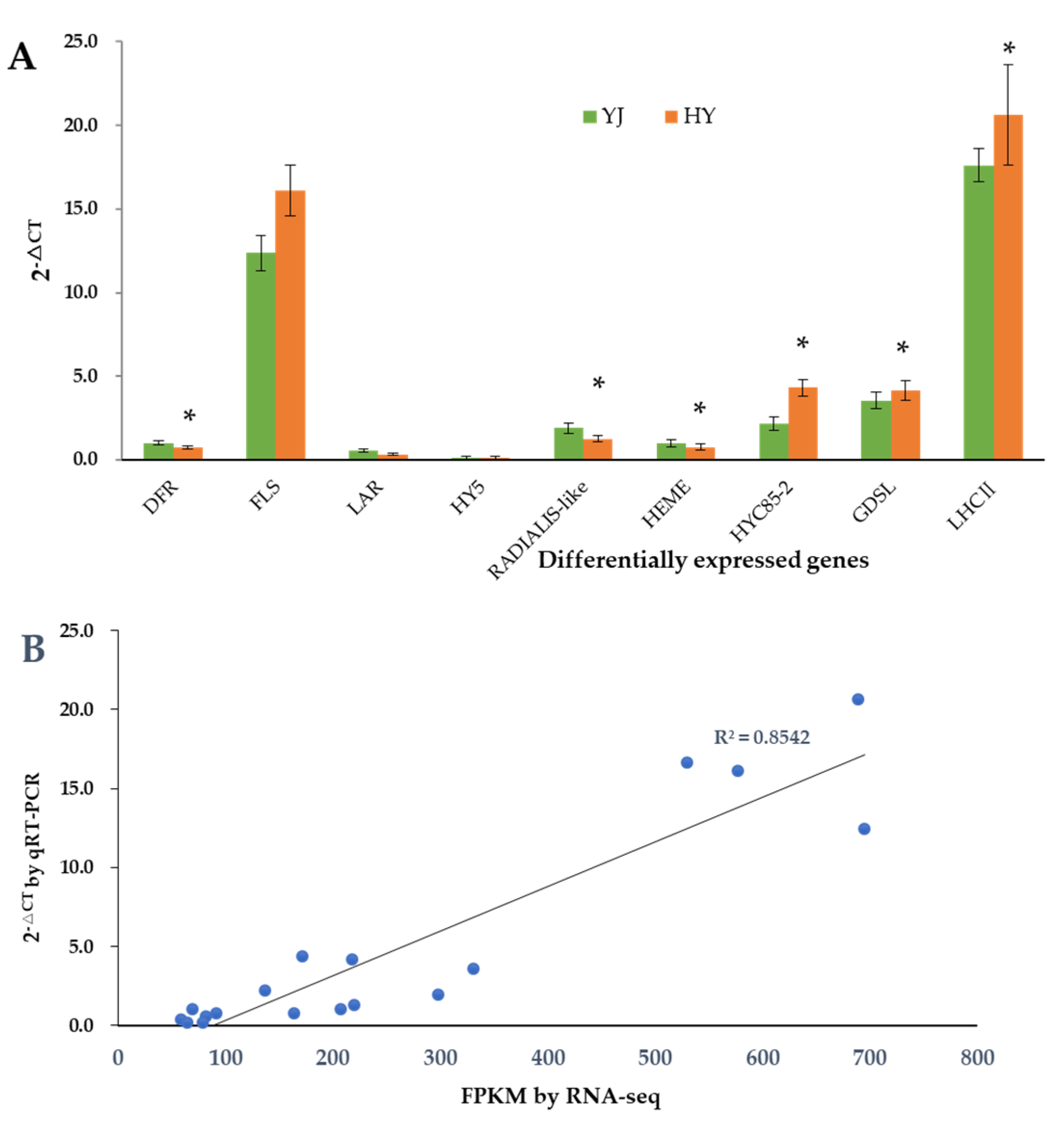 Ijms 23 15044 g005 Ijms 23 15044 g005