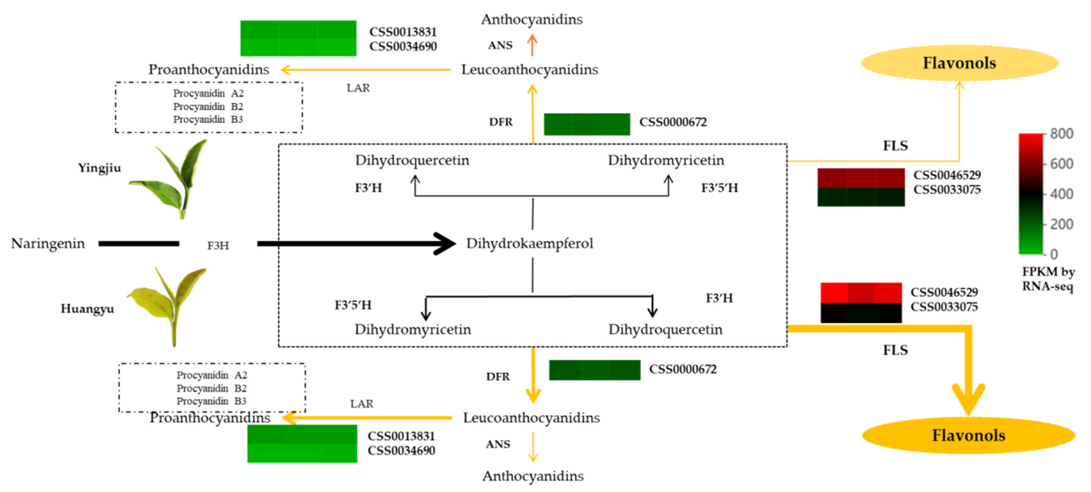 Ijms 23 15044 g007 Ijms 23 15044 g007