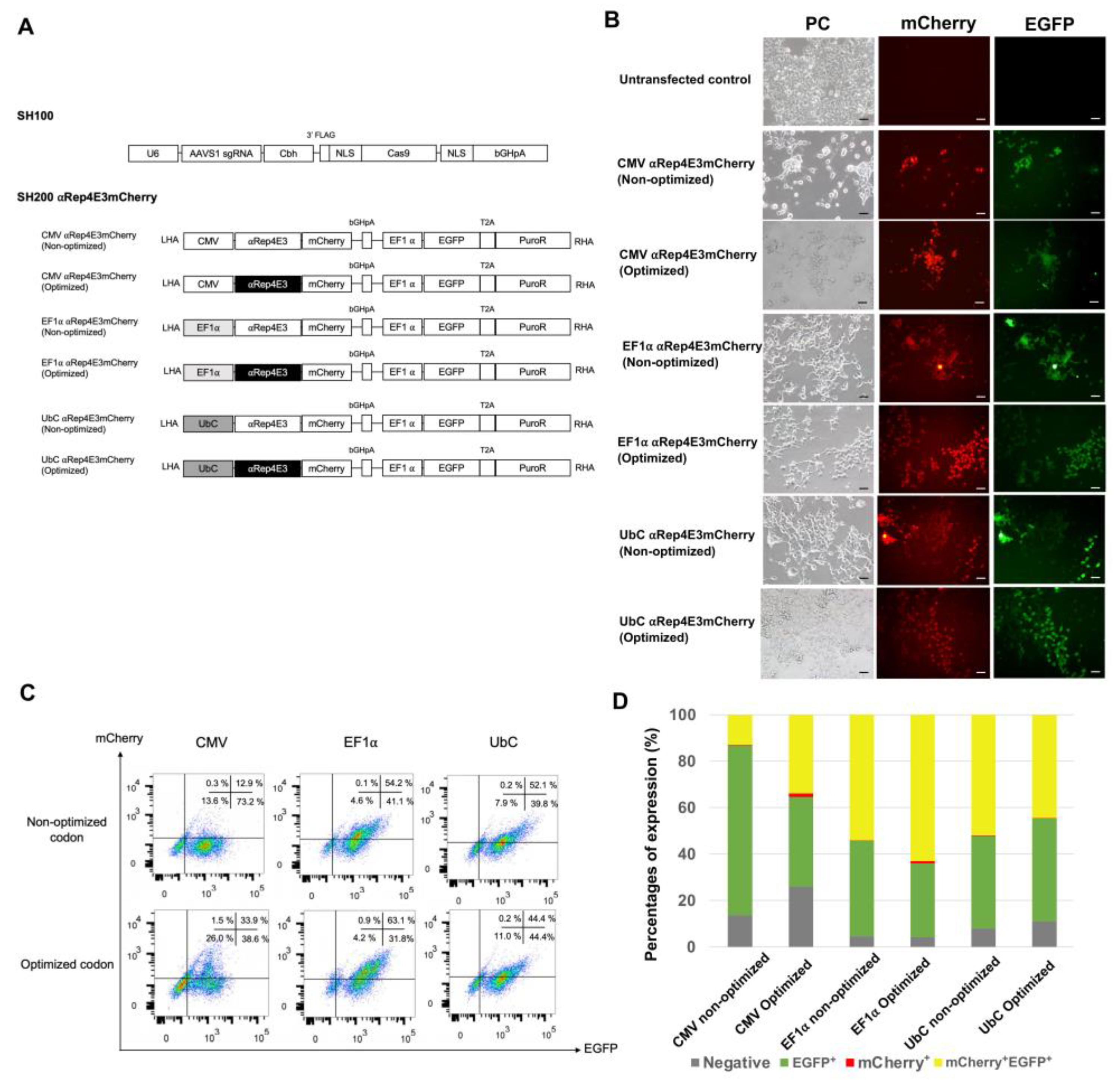 Ijms 23 15049 g001 Ijms 23 15049 g001