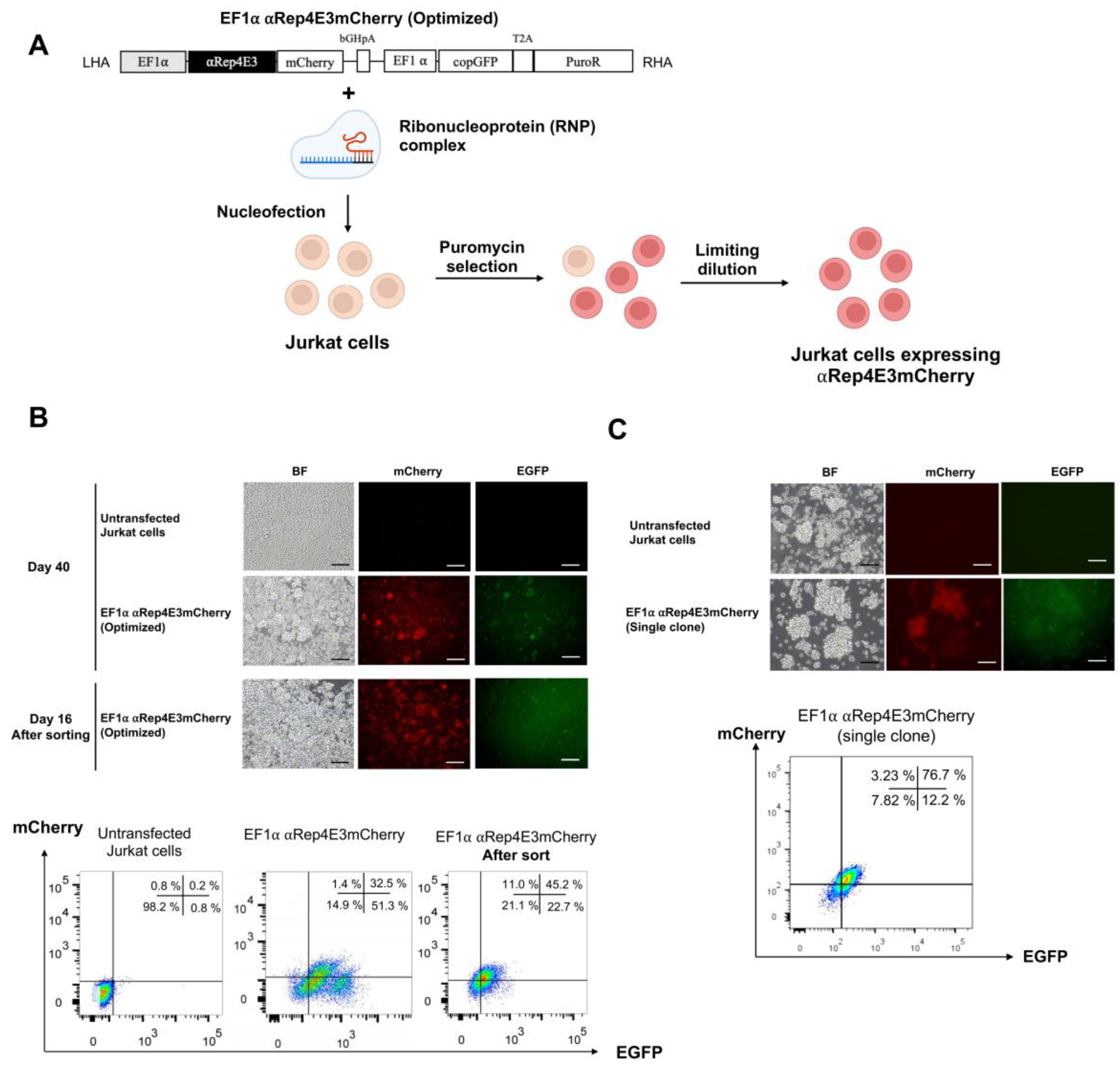 Ijms 23 15049 g002 Ijms 23 15049 g002