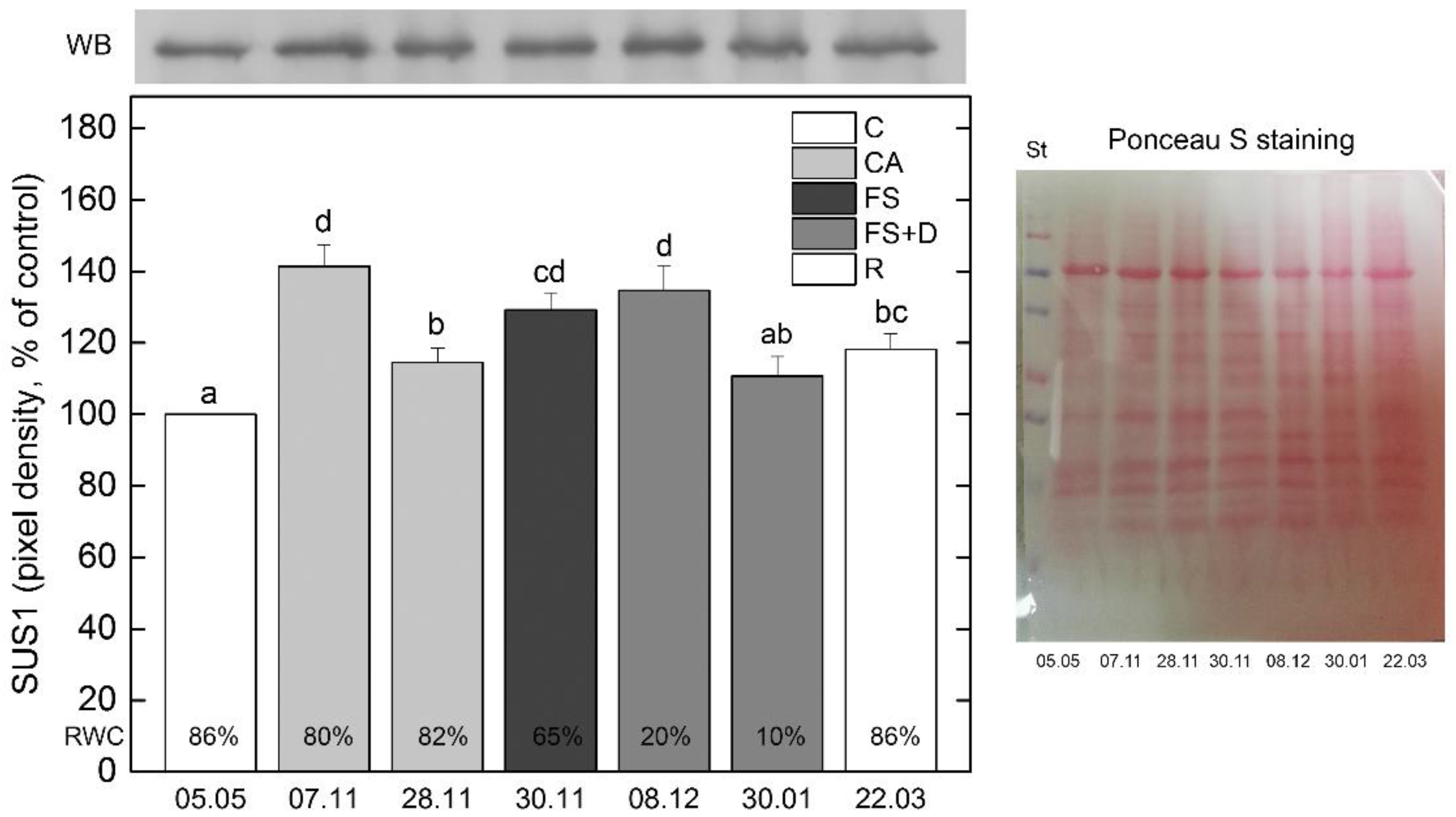 Ijms 23 15050 g007 Ijms 23 15050 g007