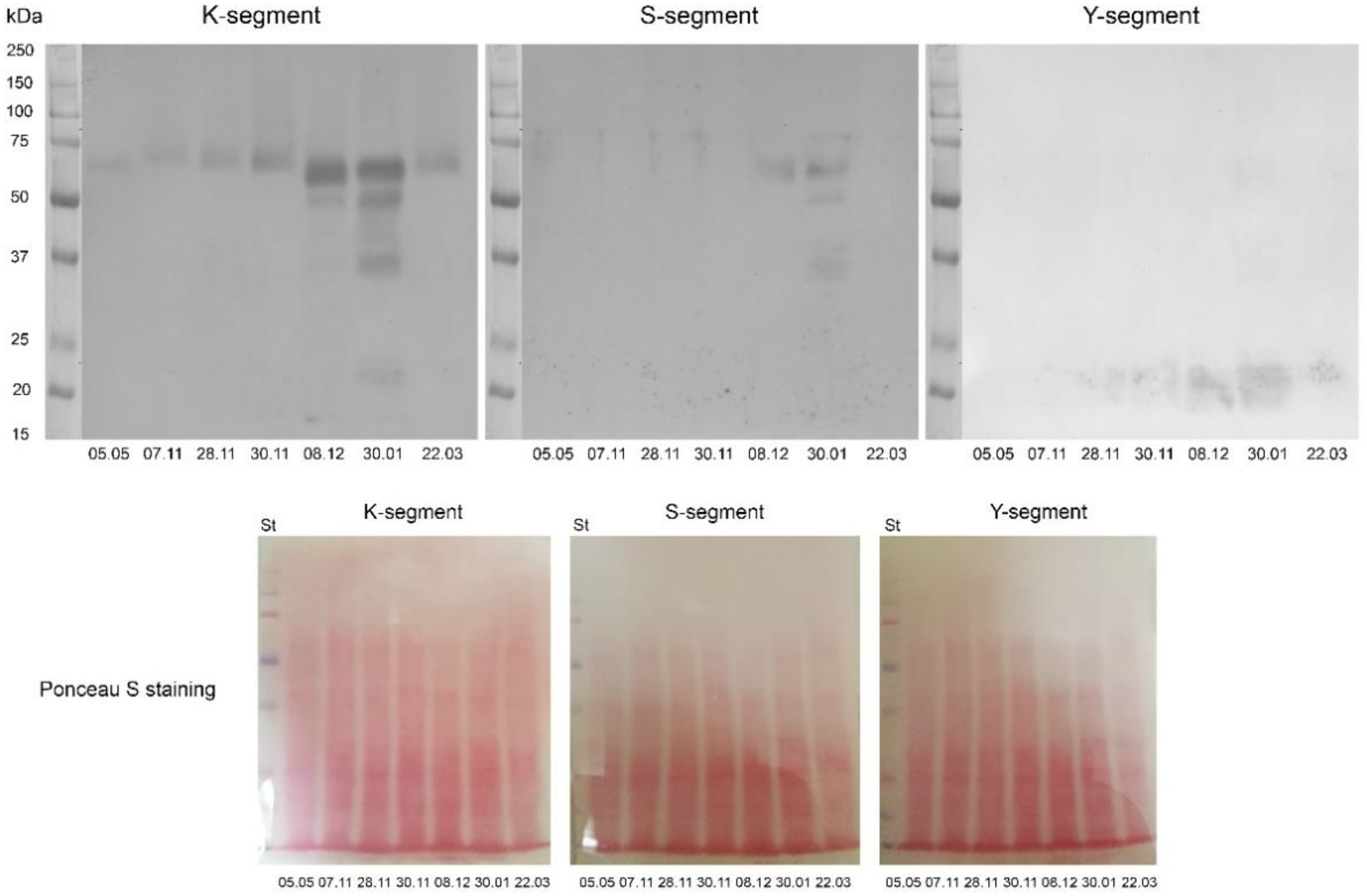 Ijms 23 15050 g008 Ijms 23 15050 g008