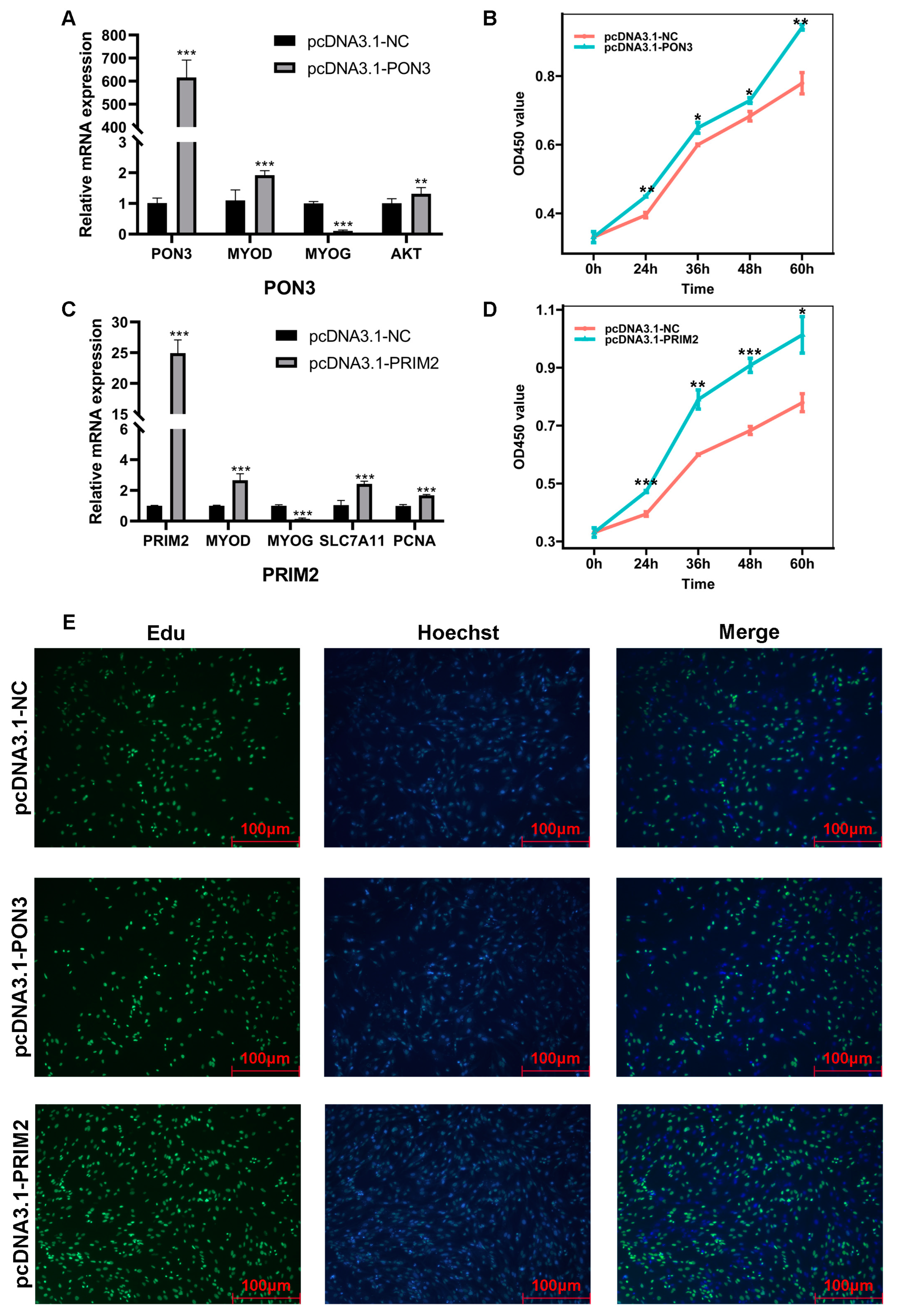 Ijms 23 15055 g005 Ijms 23 15055 g005