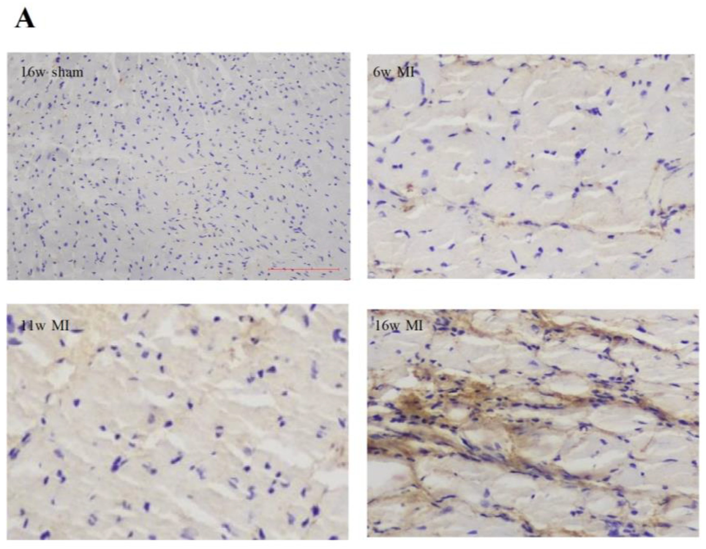 Ijms 23 15061 g001a Ijms 23 15061 g001a