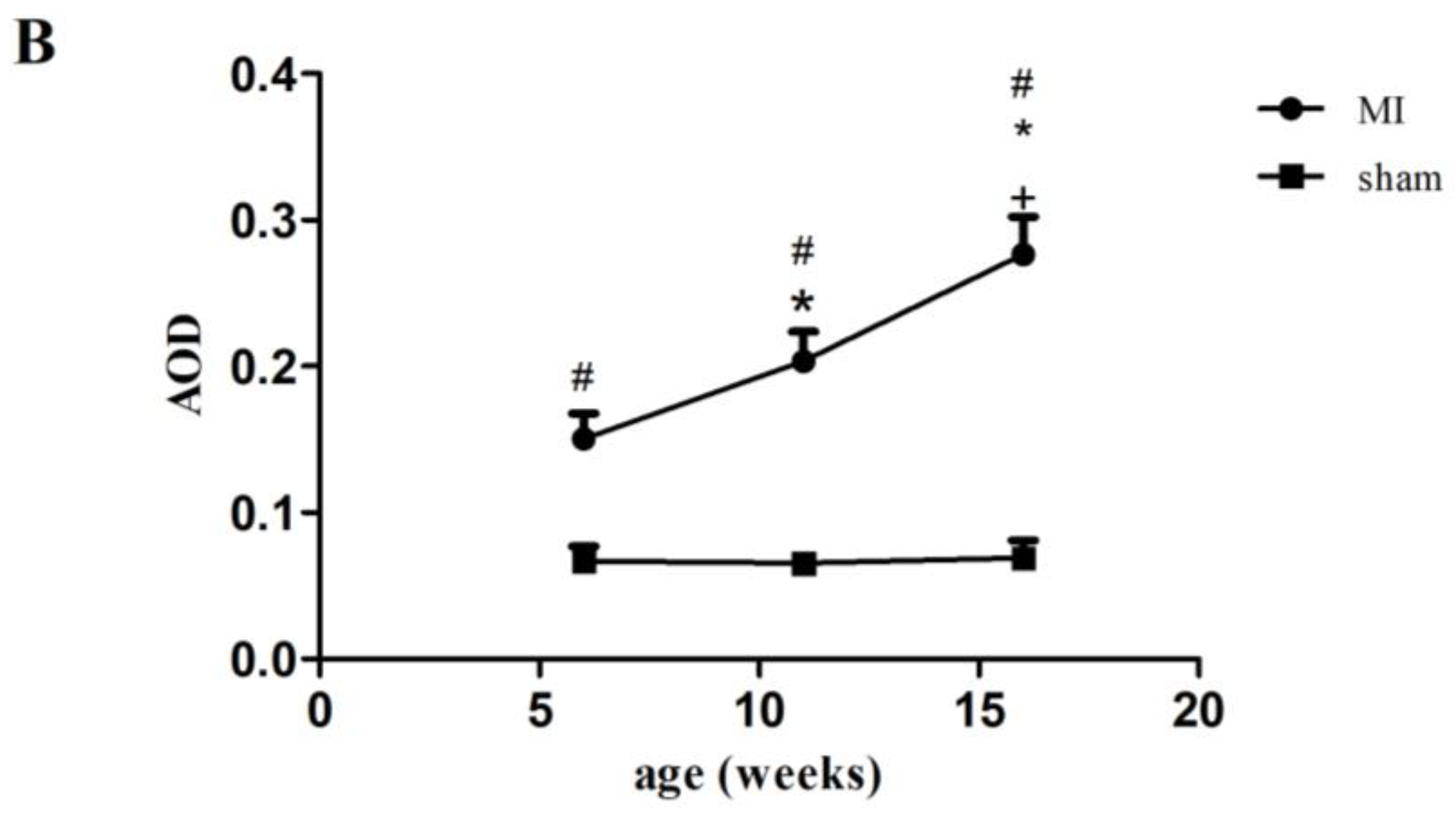 Ijms 23 15061 g001b Ijms 23 15061 g001b
