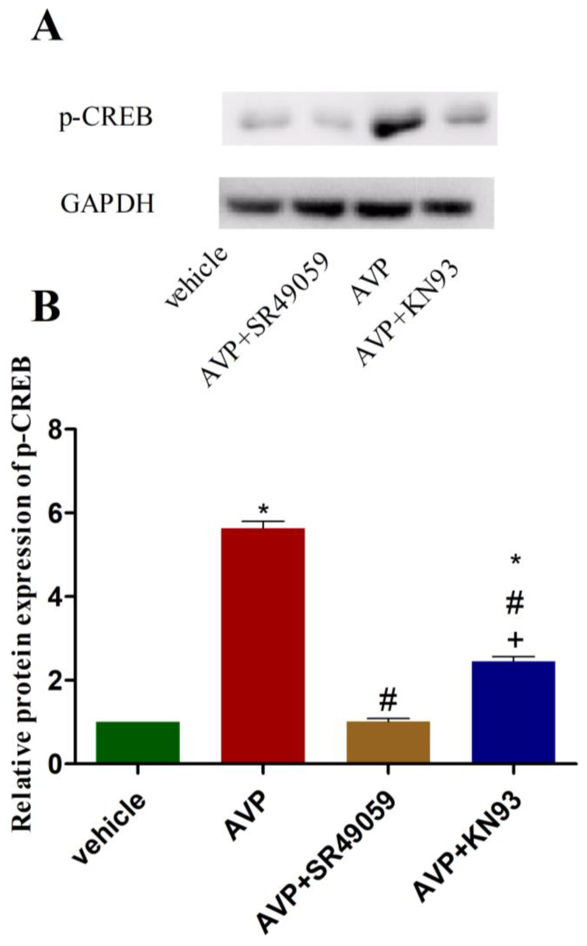 Ijms 23 15061 g005 Ijms 23 15061 g005