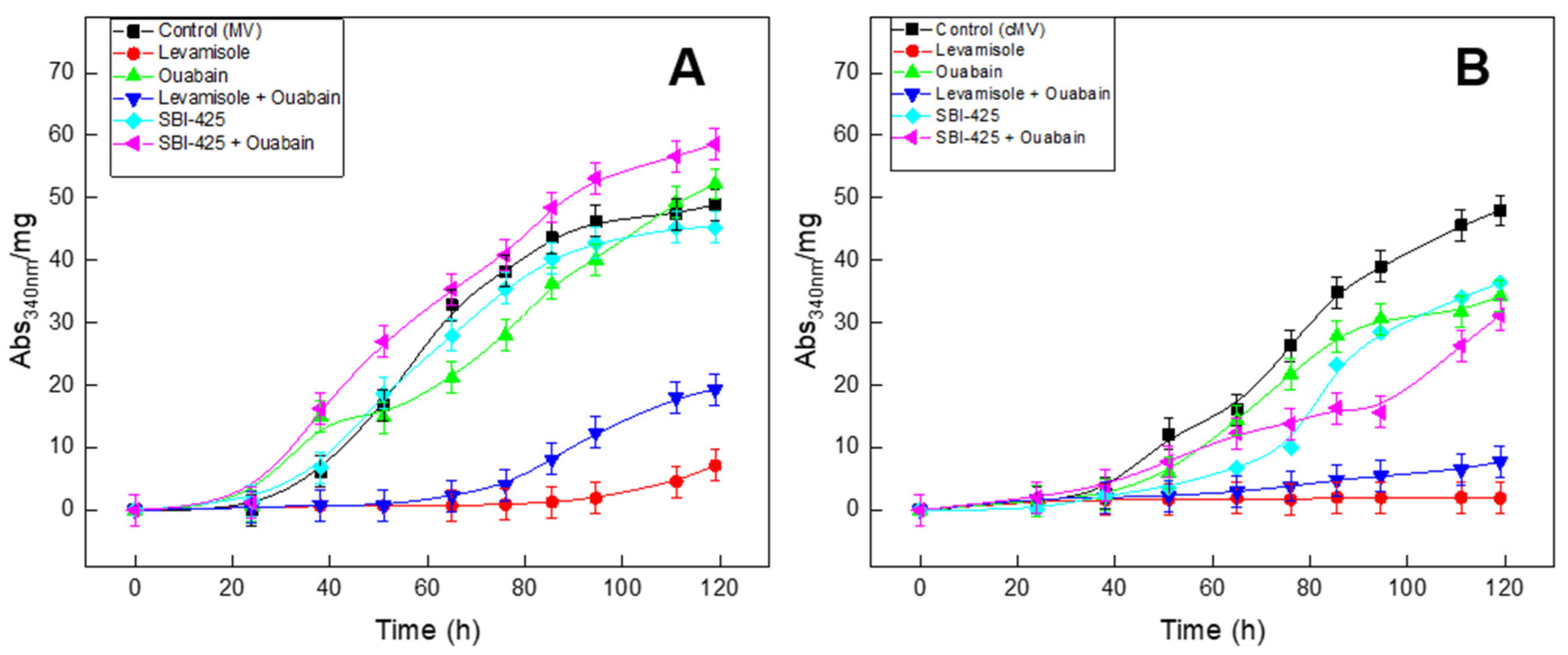 Ijms 23 15072 g003 Ijms 23 15072 g003