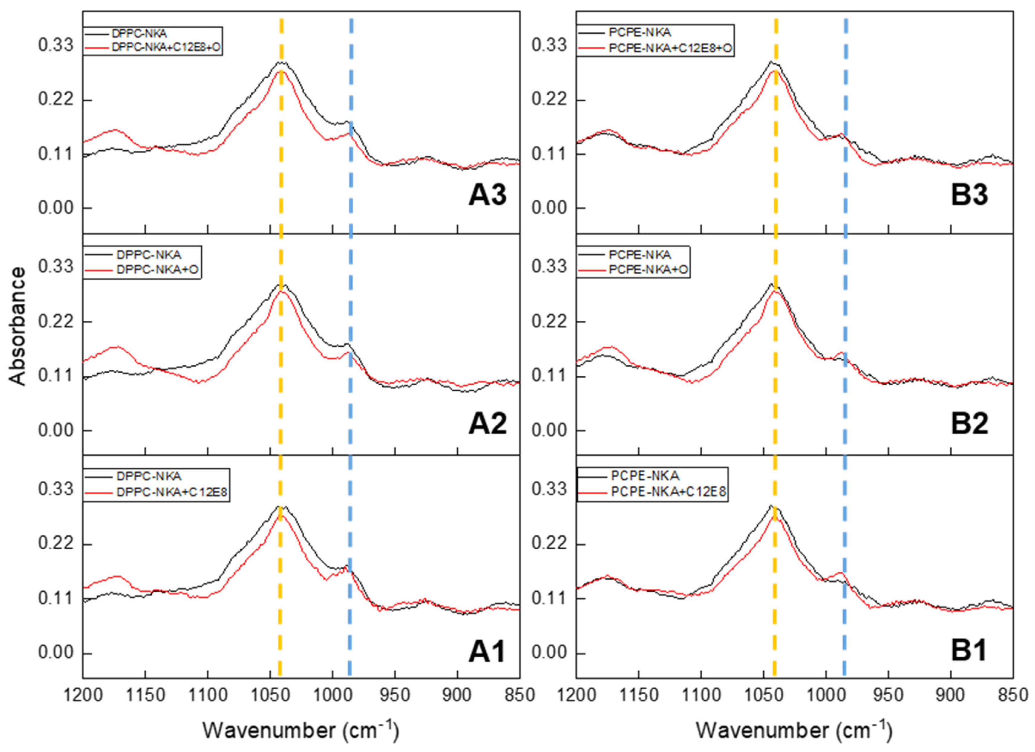 Ijms 23 15072 g004 Ijms 23 15072 g004