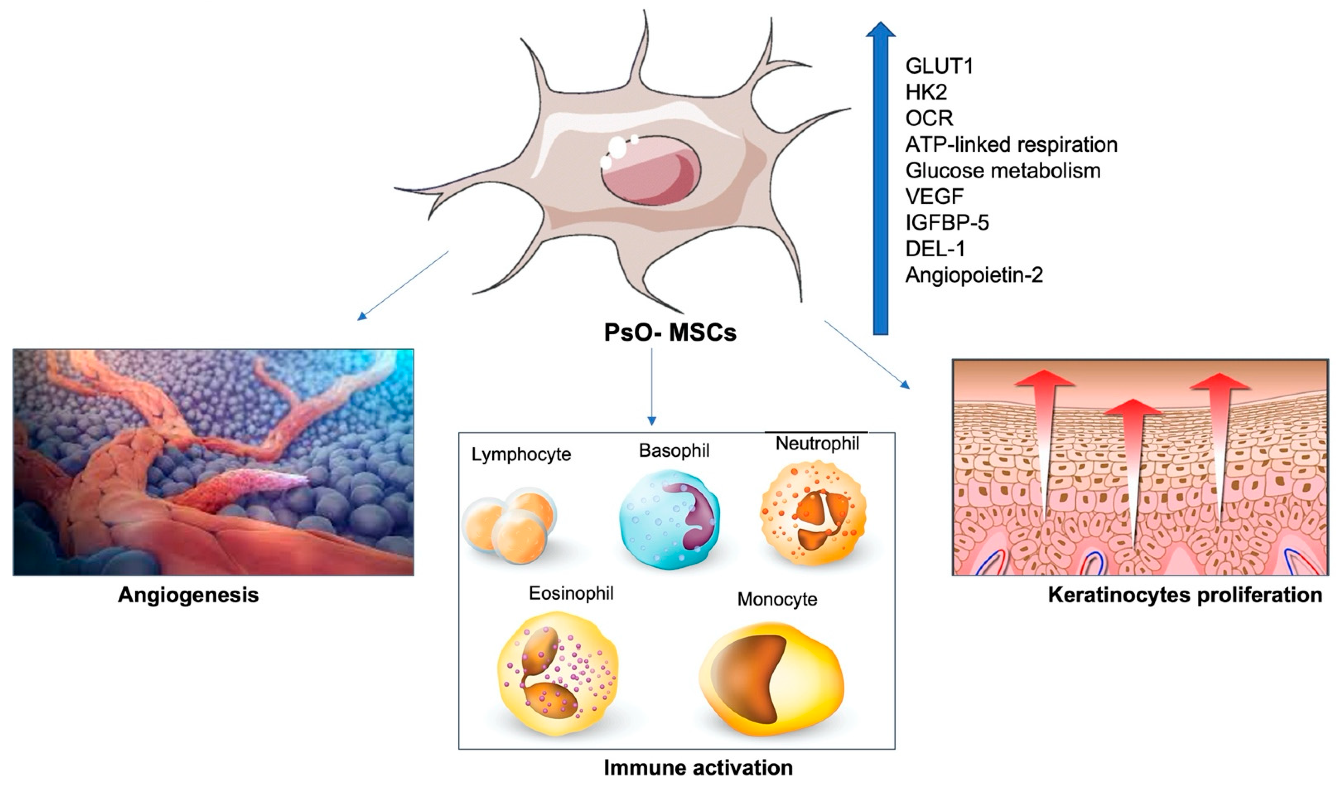 Ijms 23 15080 g003 Ijms 23 15080 g003