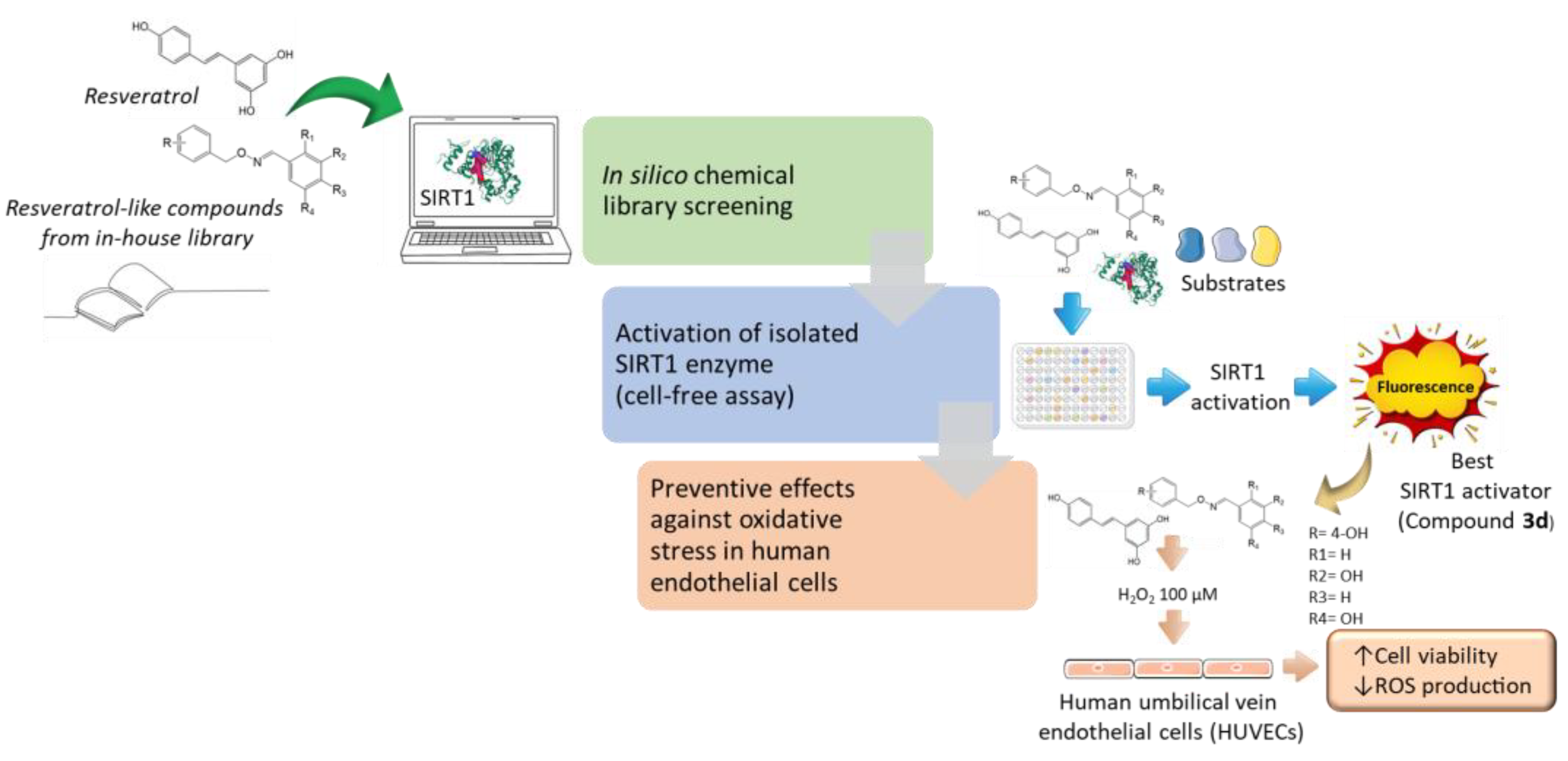 Ijms 23 15105 g011 Ijms 23 15105 g011