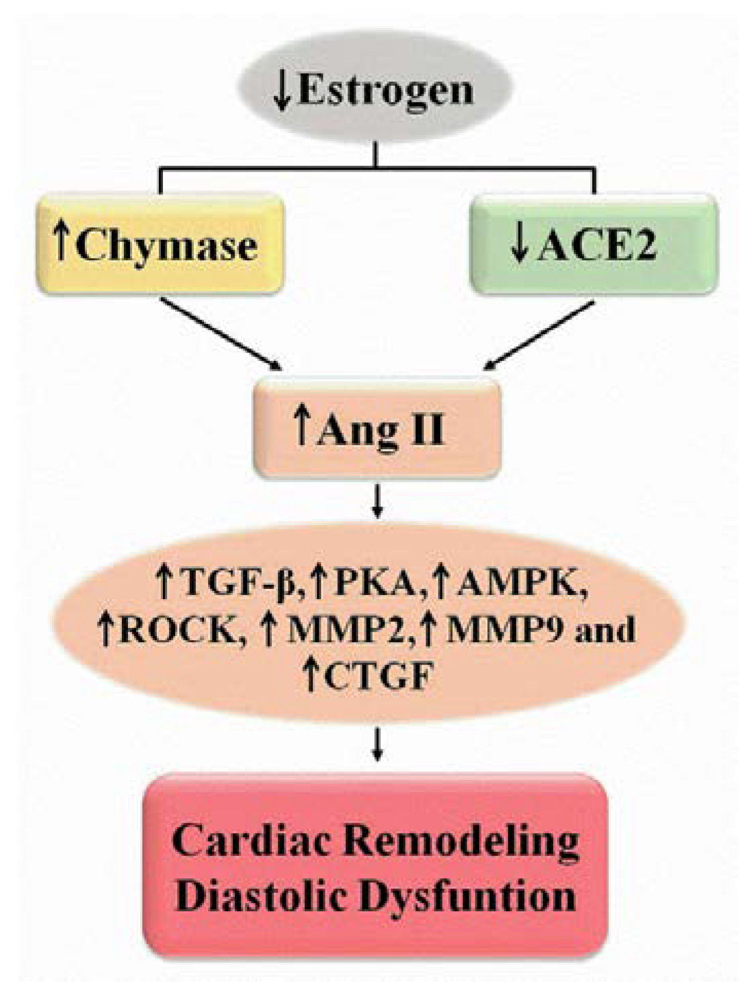 Ijms 23 15140 g002 Ijms 23 15140 g002