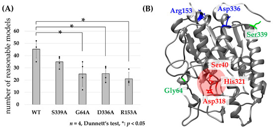 Key Amino Acids for Transferase Activity of GDSL Lipases