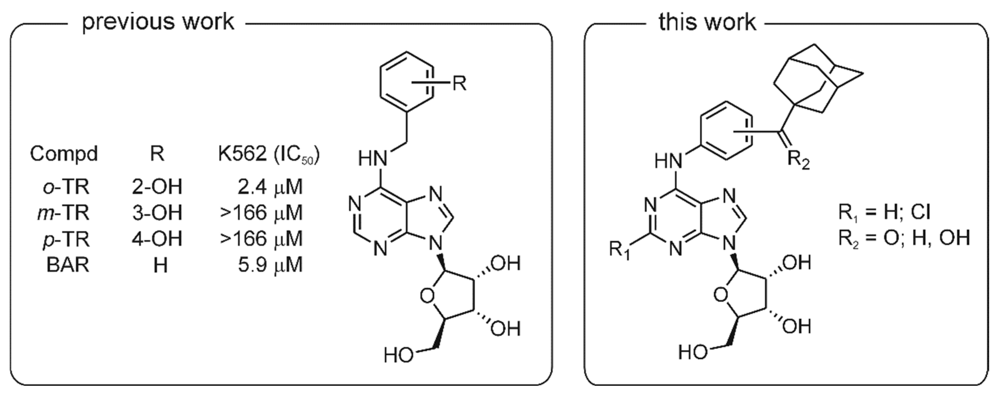 Structure−Activity Relationship of Purine Ribonucleosides for