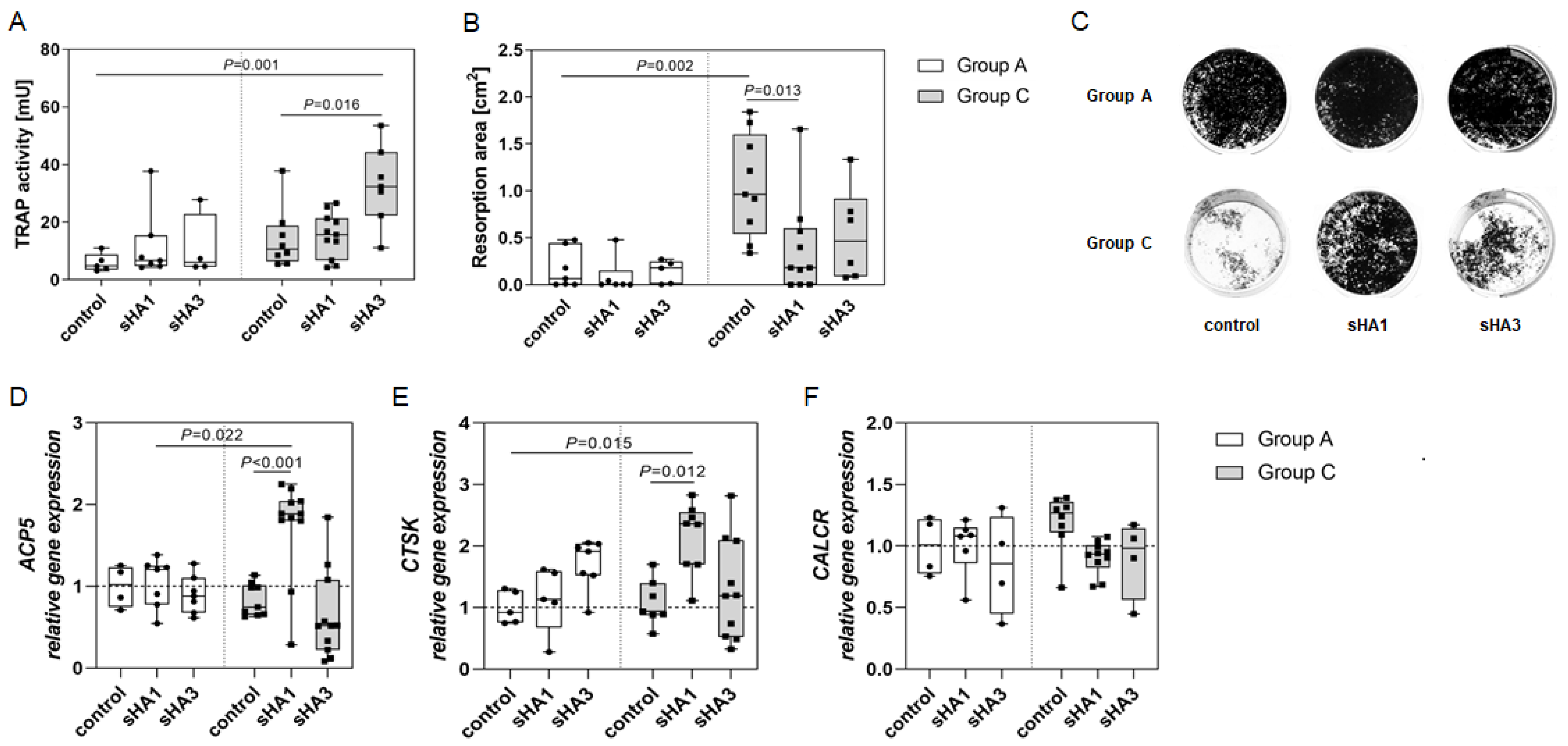 Ijms 23 15146 g004 Ijms 23 15146 g004