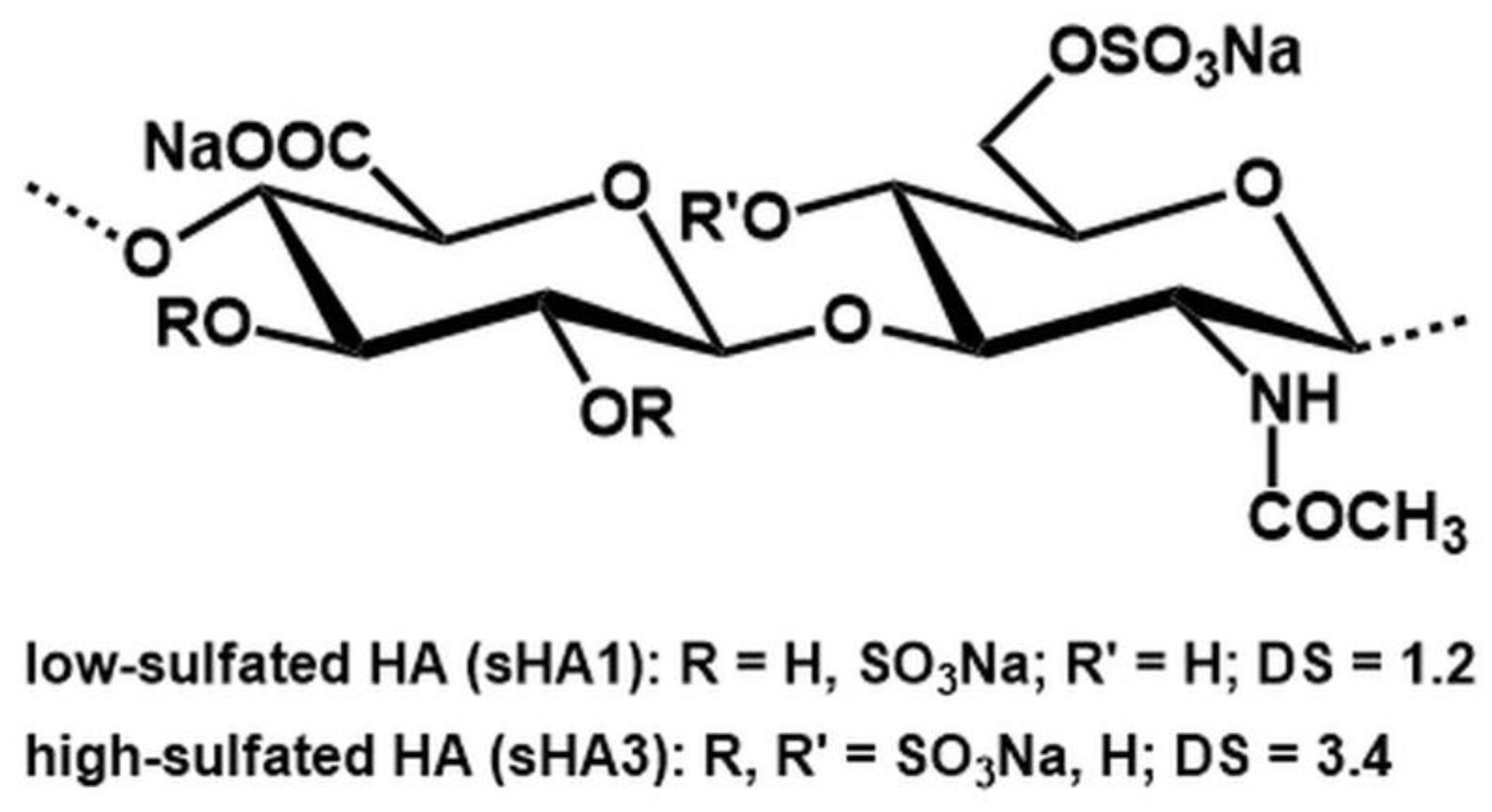 Ijms 23 15146 g007 Ijms 23 15146 g007
