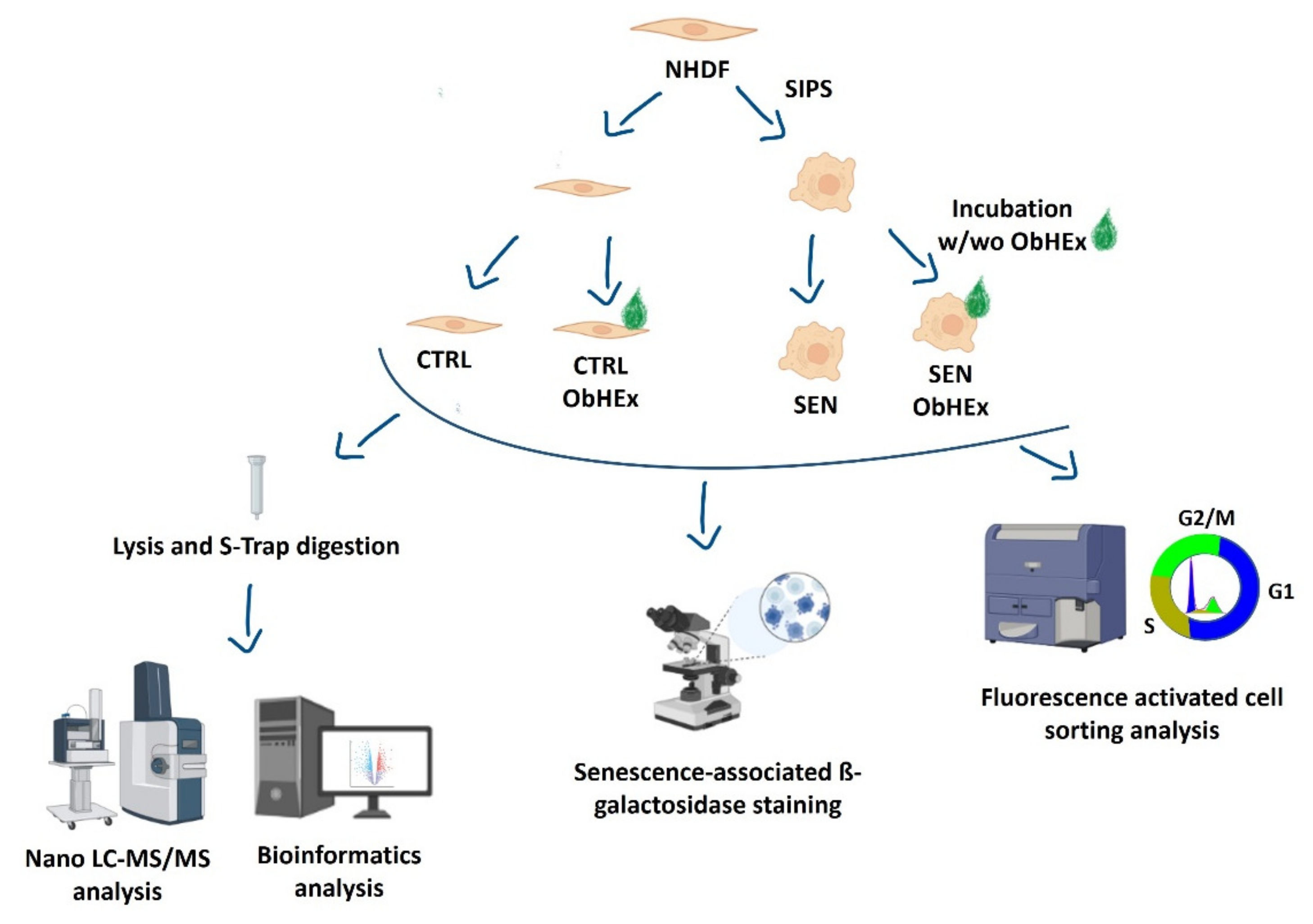 Derma Ms Water Department Flash Sales