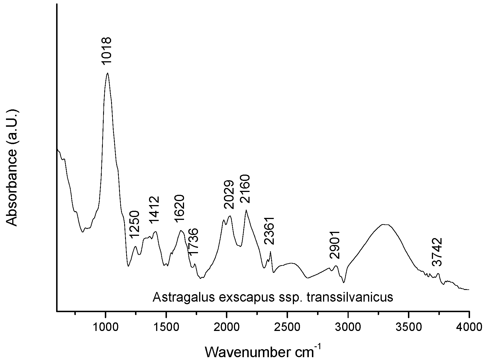 Ijms 23 15161 g002 Ijms 23 15161 g002