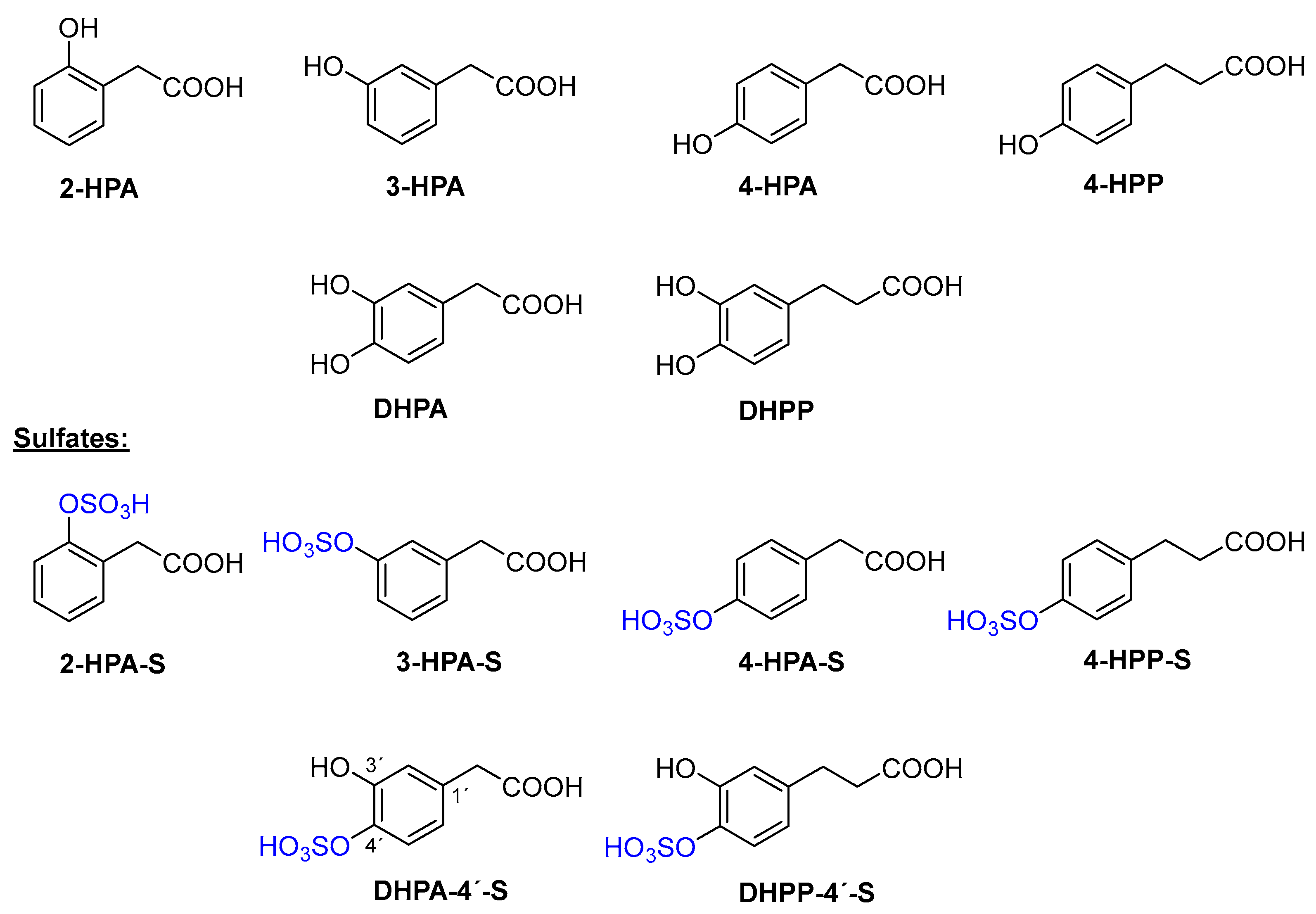 IJMS Free FullText Sulfation of Phenolic Acids Chemoenzymatic vs