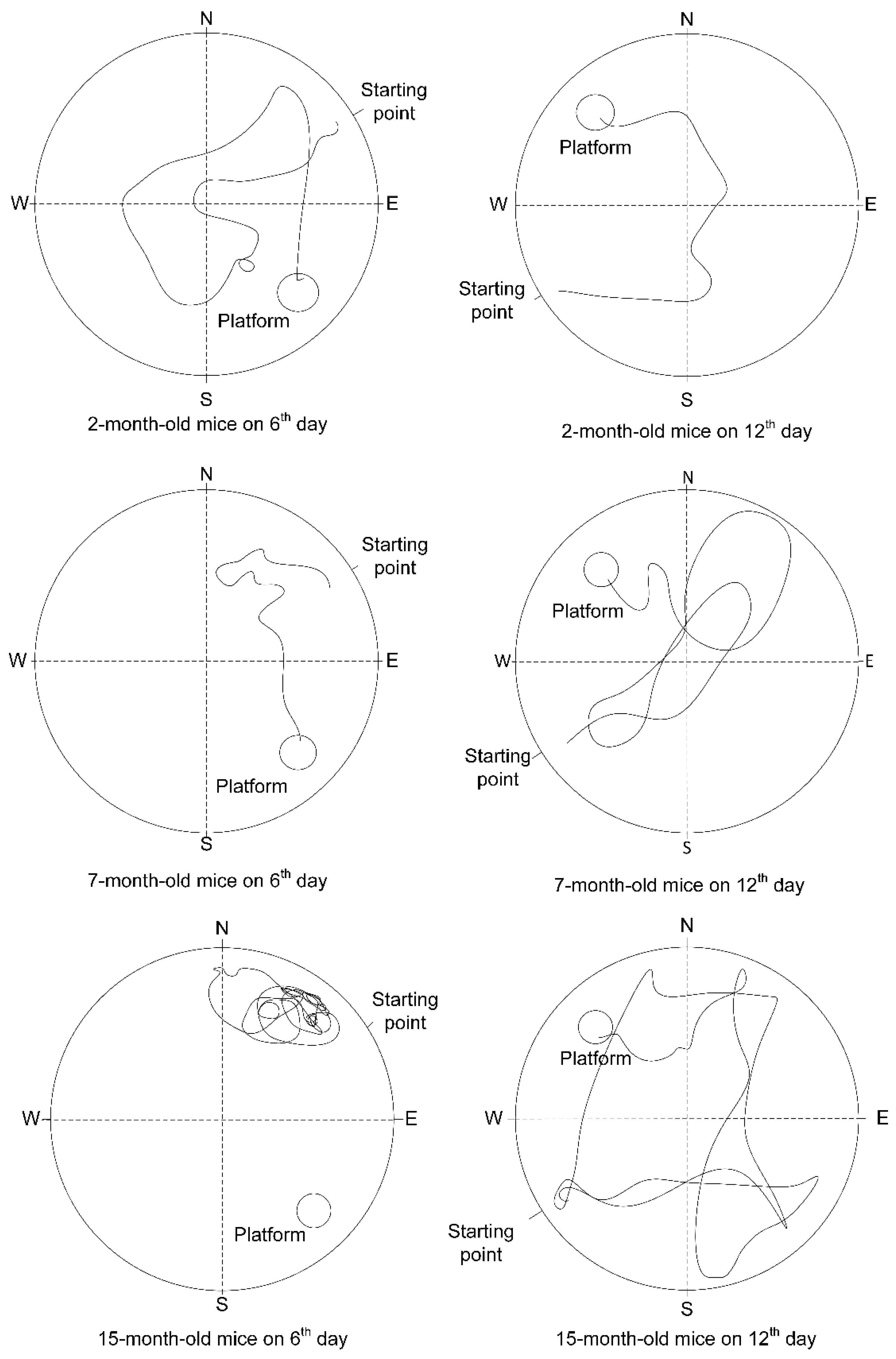 Ijms 23 15197 g007 Ijms 23 15197 g007