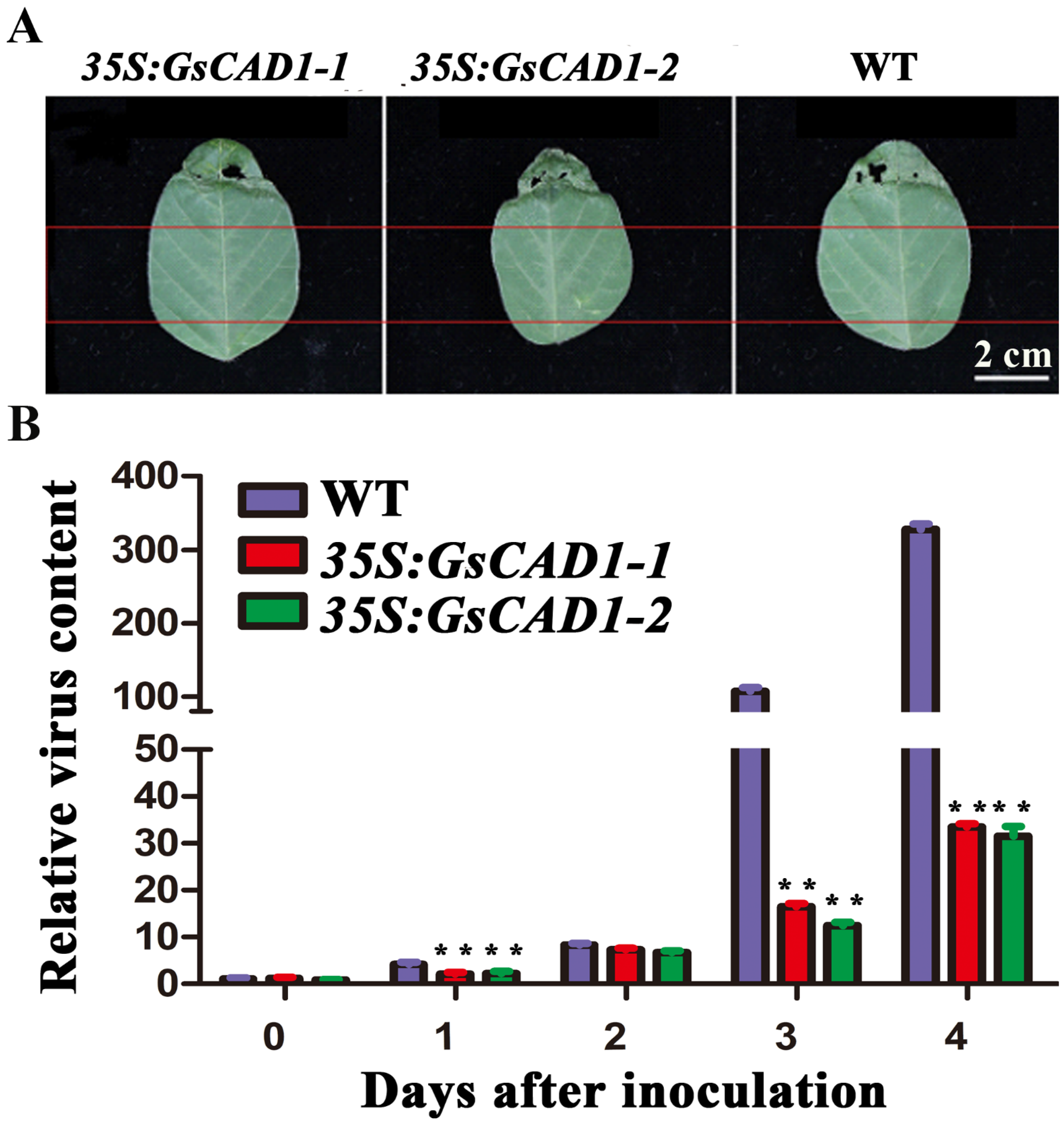 Ijms 23 15206 g005 Ijms 23 15206 g005
