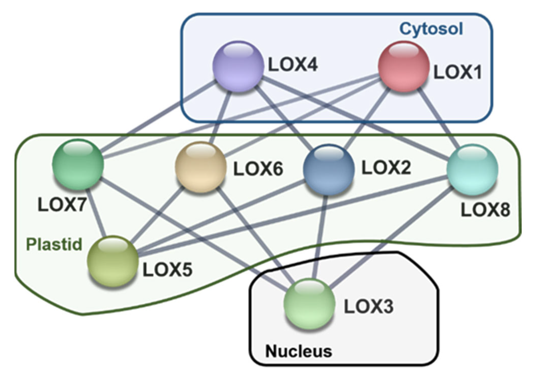 Ijms 23 15211 g006 Ijms 23 15211 g006