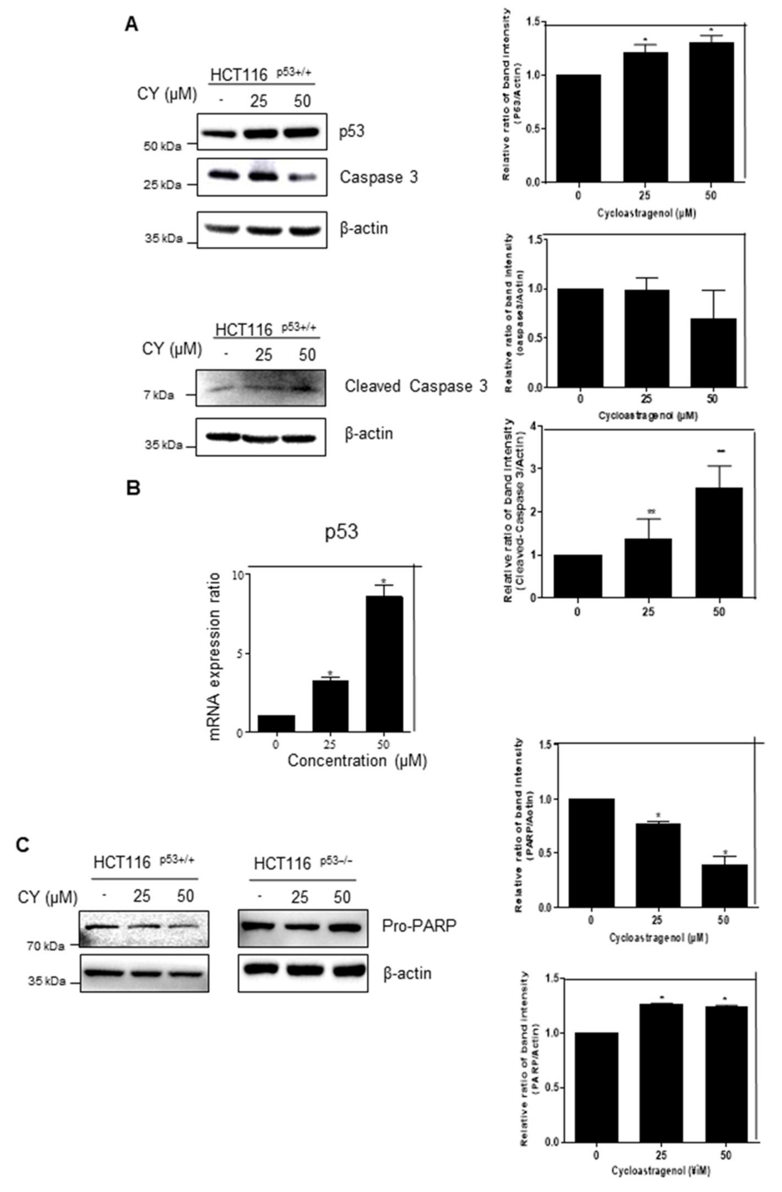 Ijms 23 15213 g002a Ijms 23 15213 g002a
