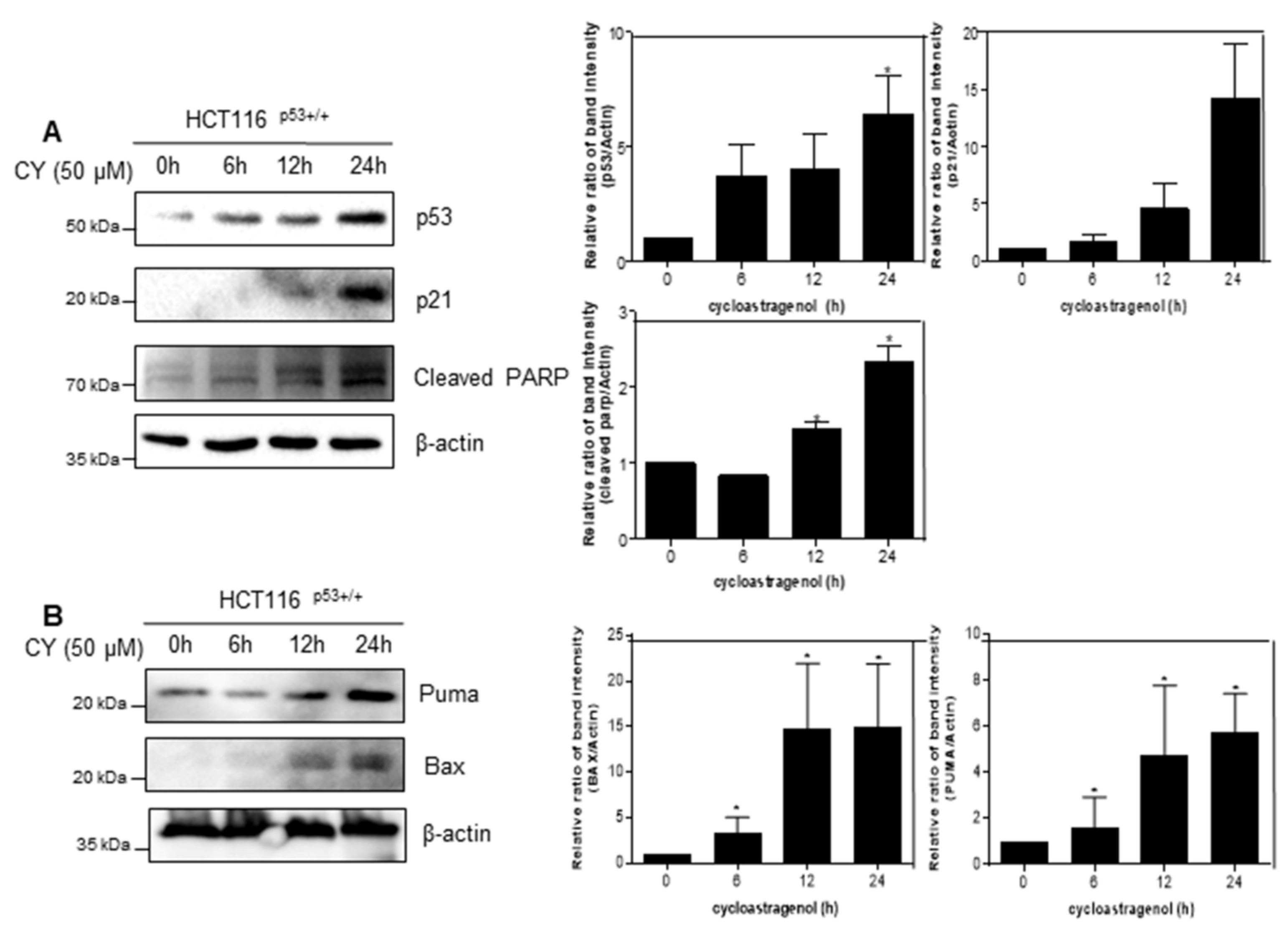 Ijms 23 15213 g003 Ijms 23 15213 g003